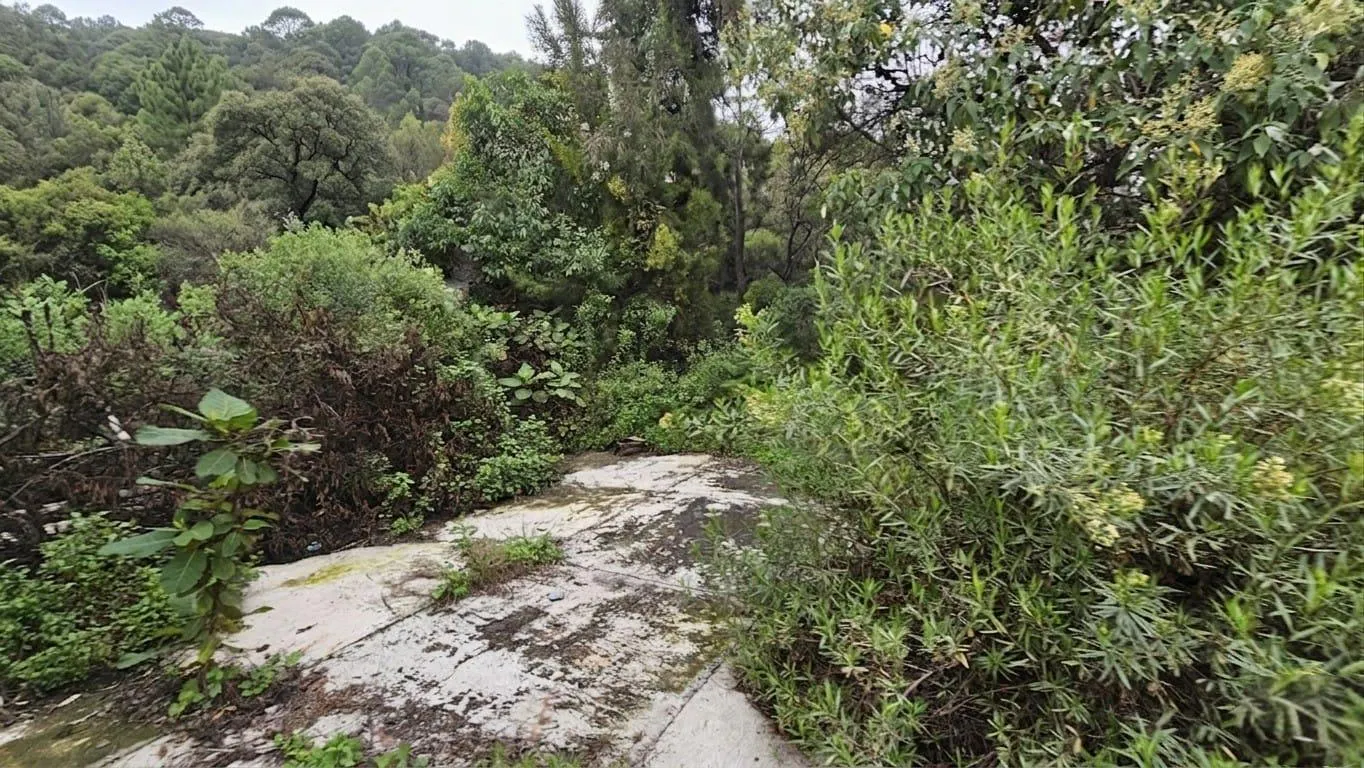 Terreno Spot2