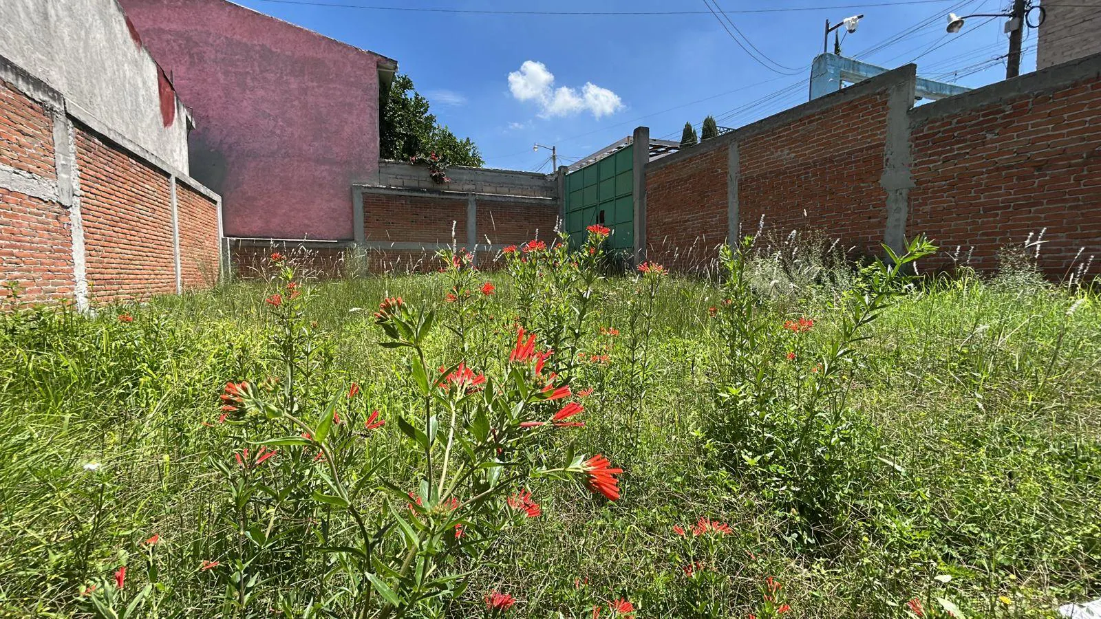 Terreno Spot2