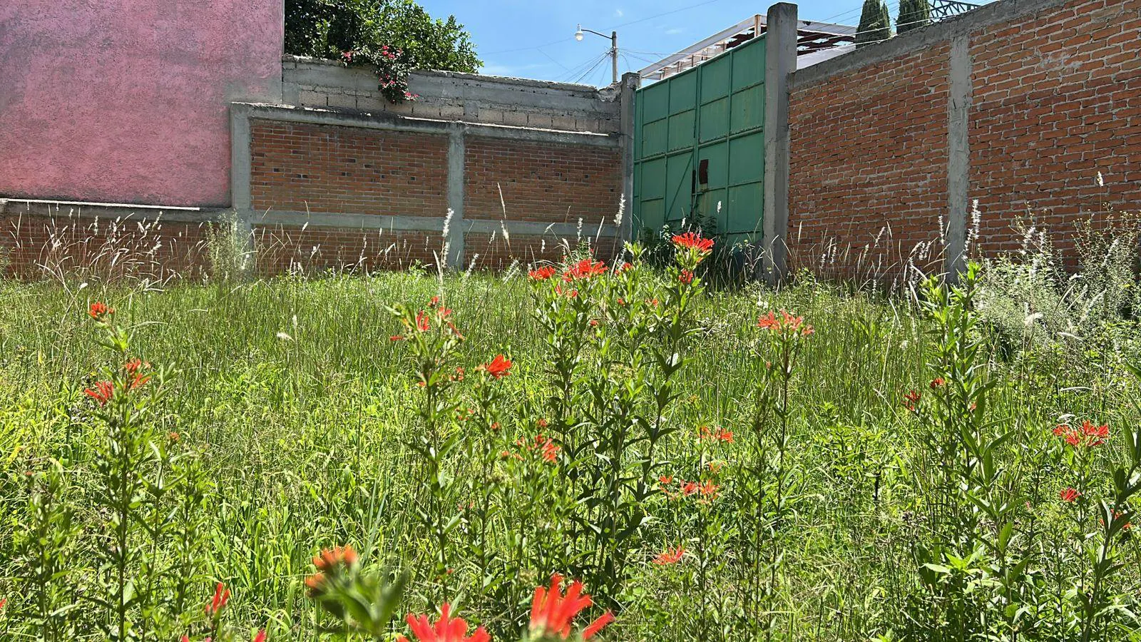 Terreno Spot2