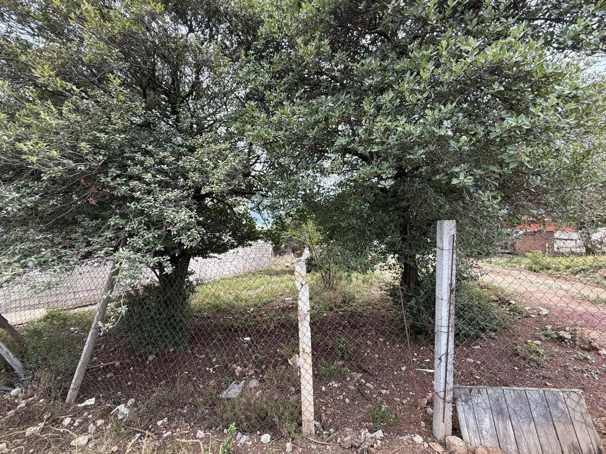 Terreno Spot2