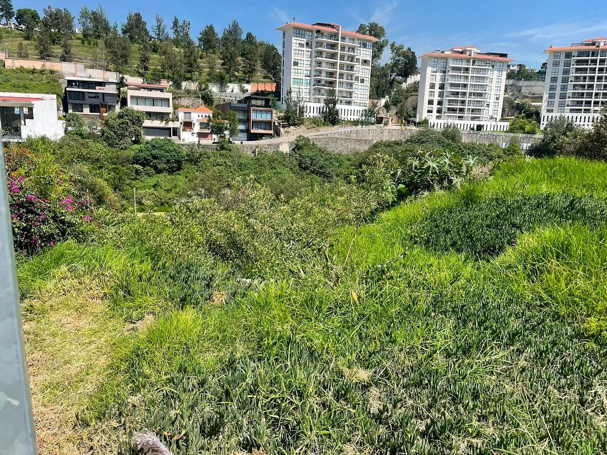 Terreno Spot2