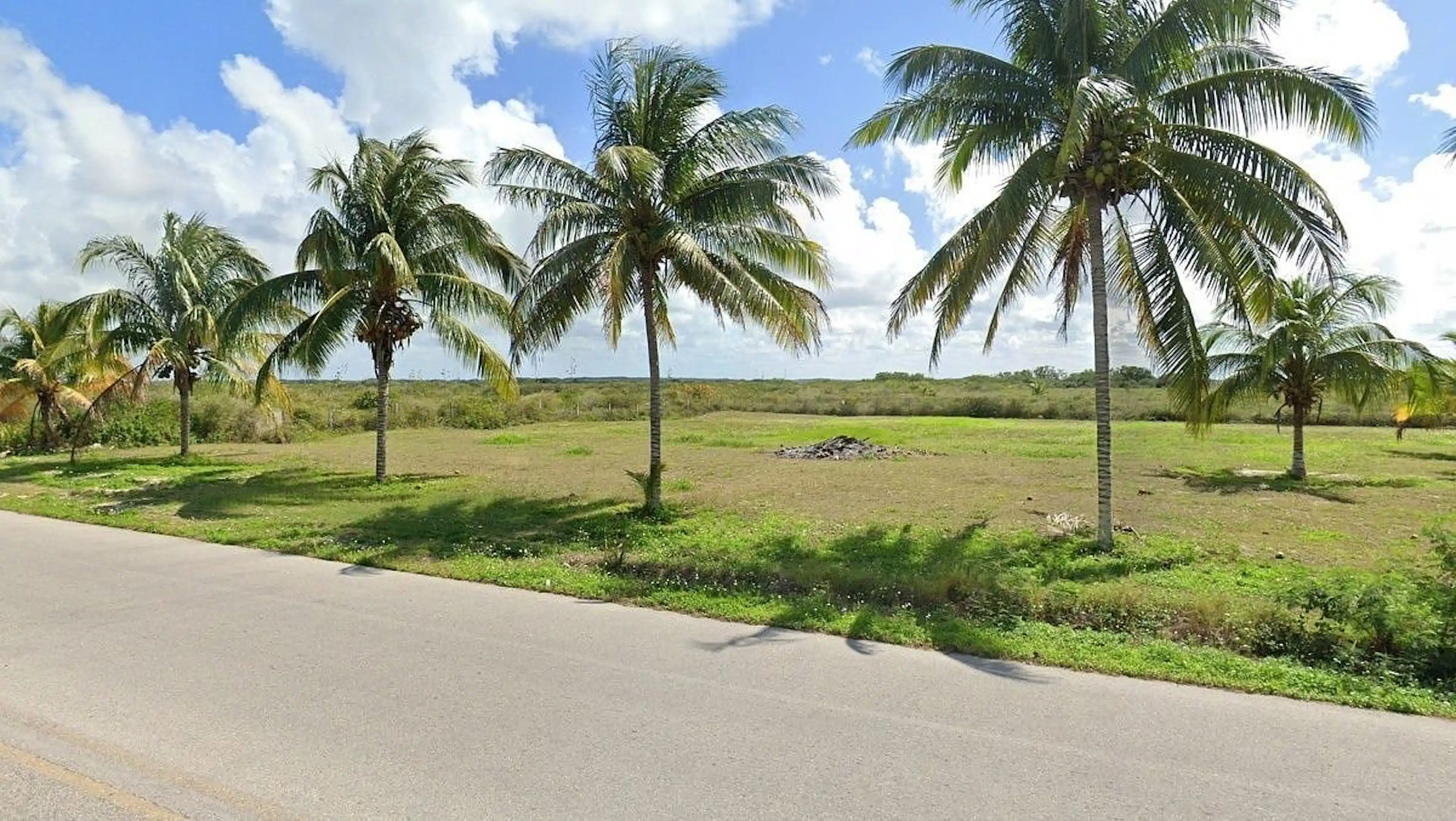 Lotes A Pie De Carretera En Venta En San Bruno Yucatan