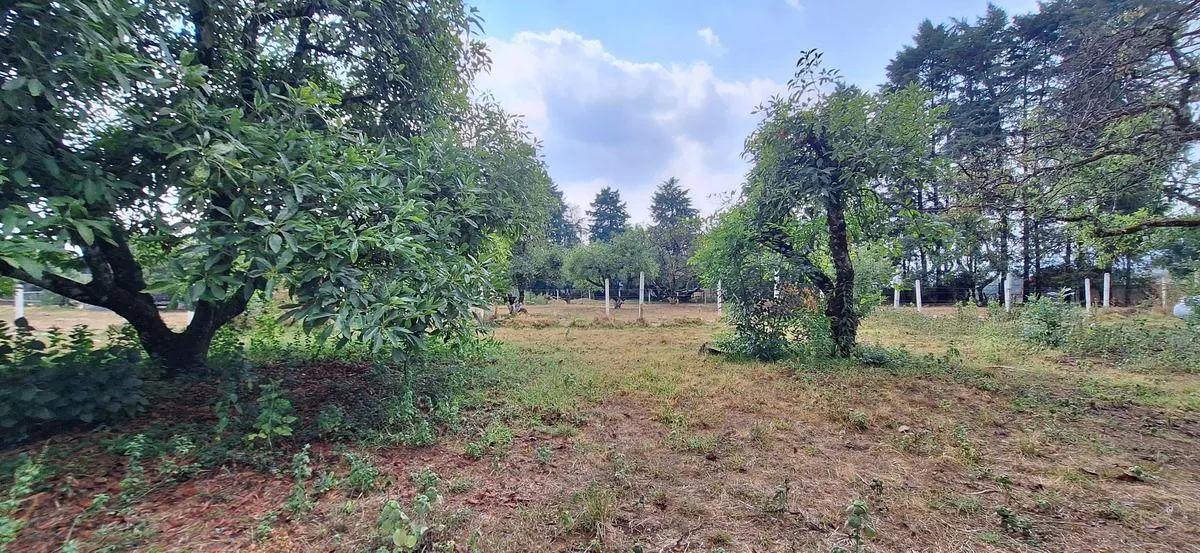 Terreno Spot2