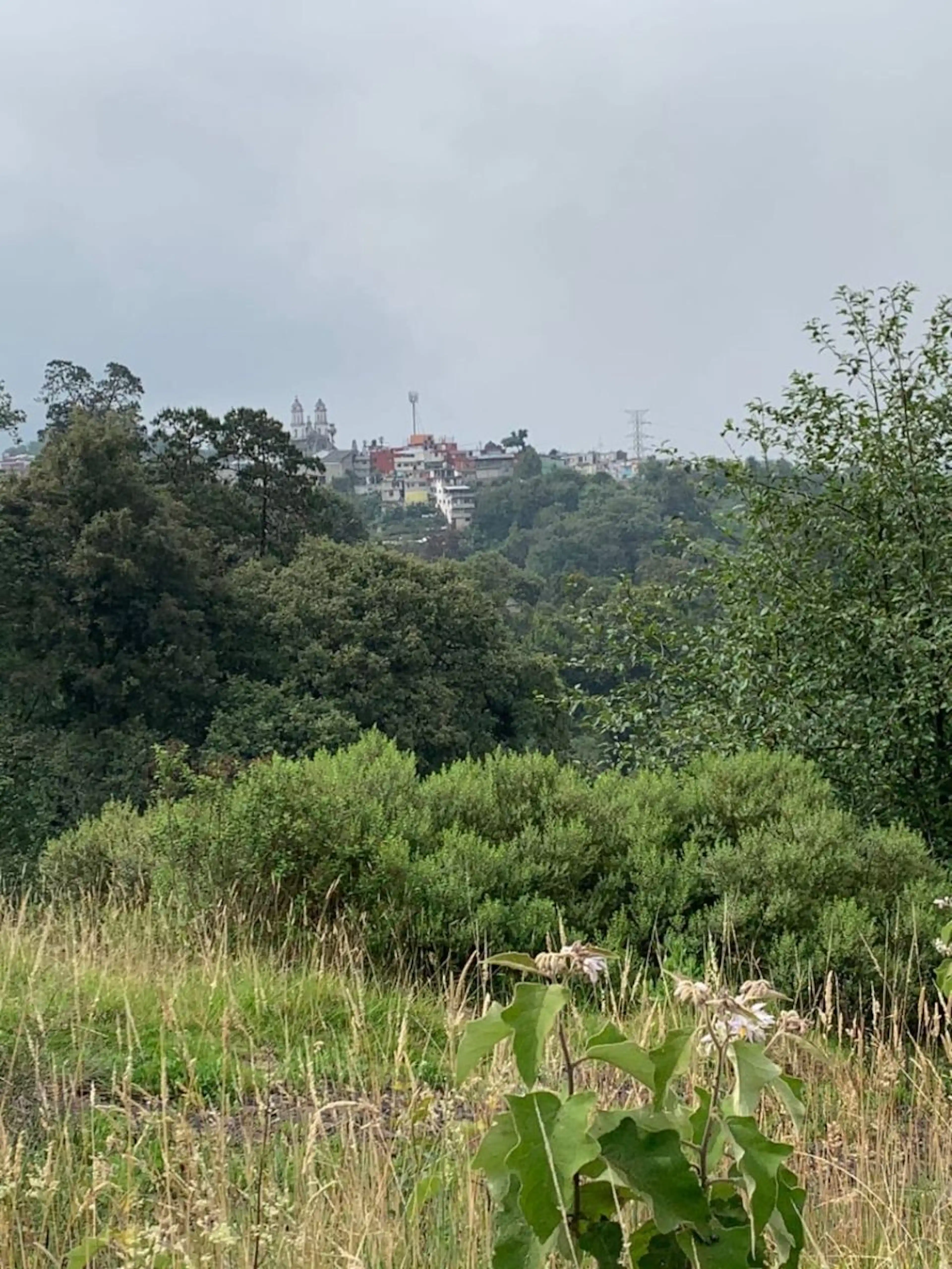 Terreno En Venta, Teziutlan Puebla