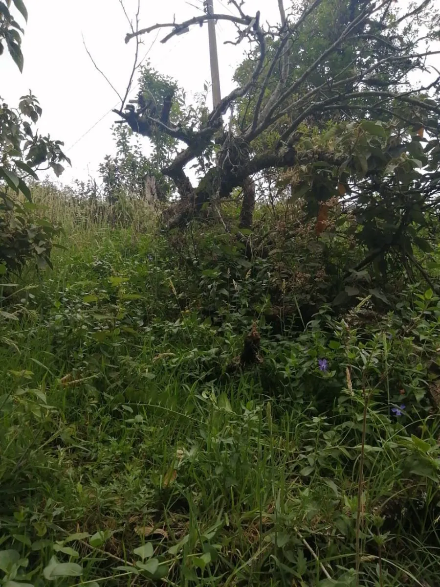 Terreno Spot2