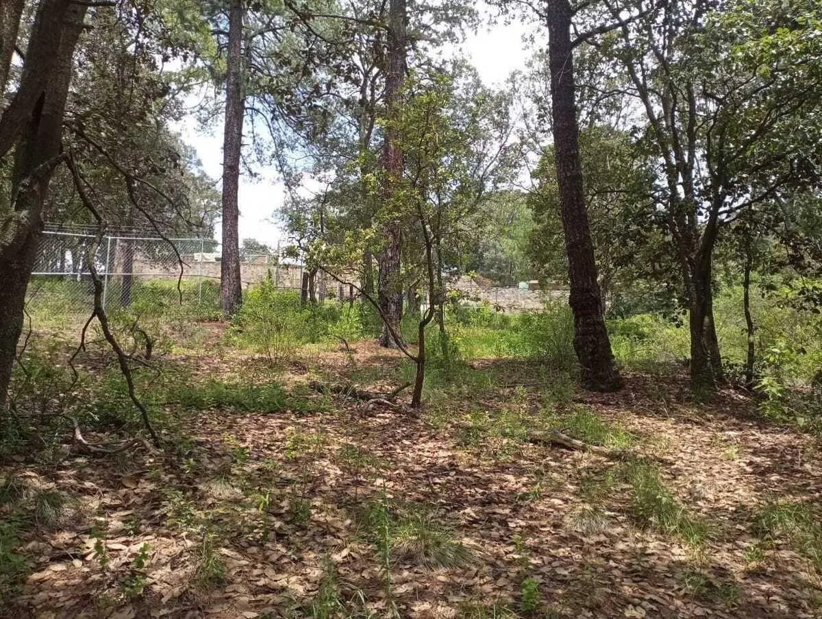 Terreno Spot2