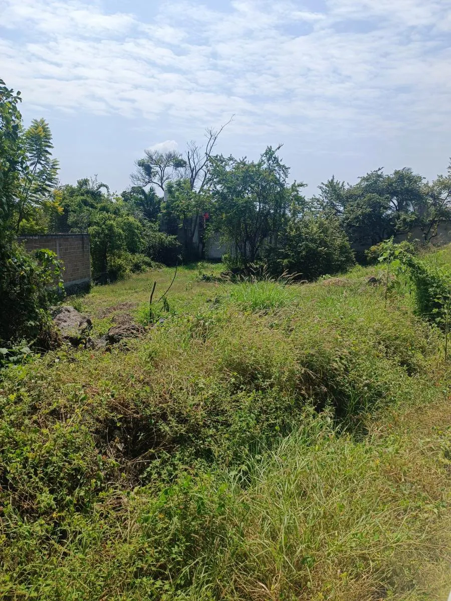 Terreno Spot2