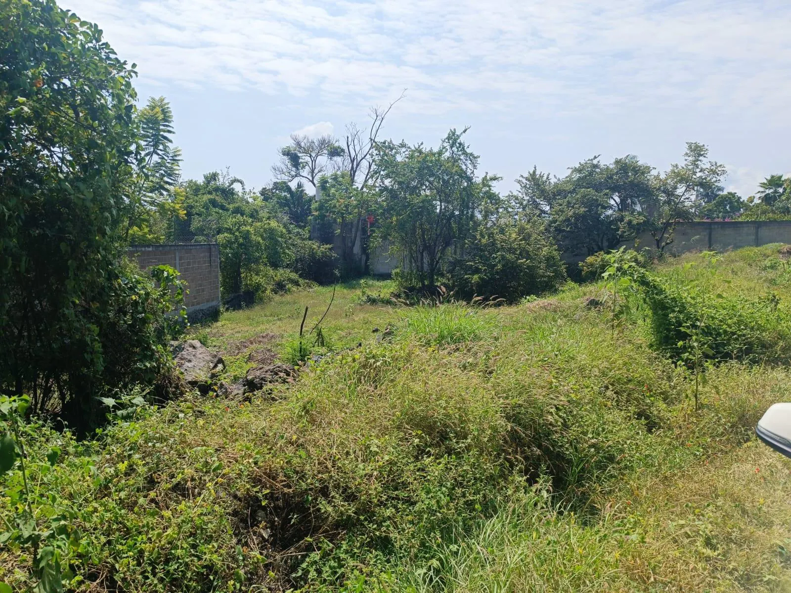 Terreno Spot2