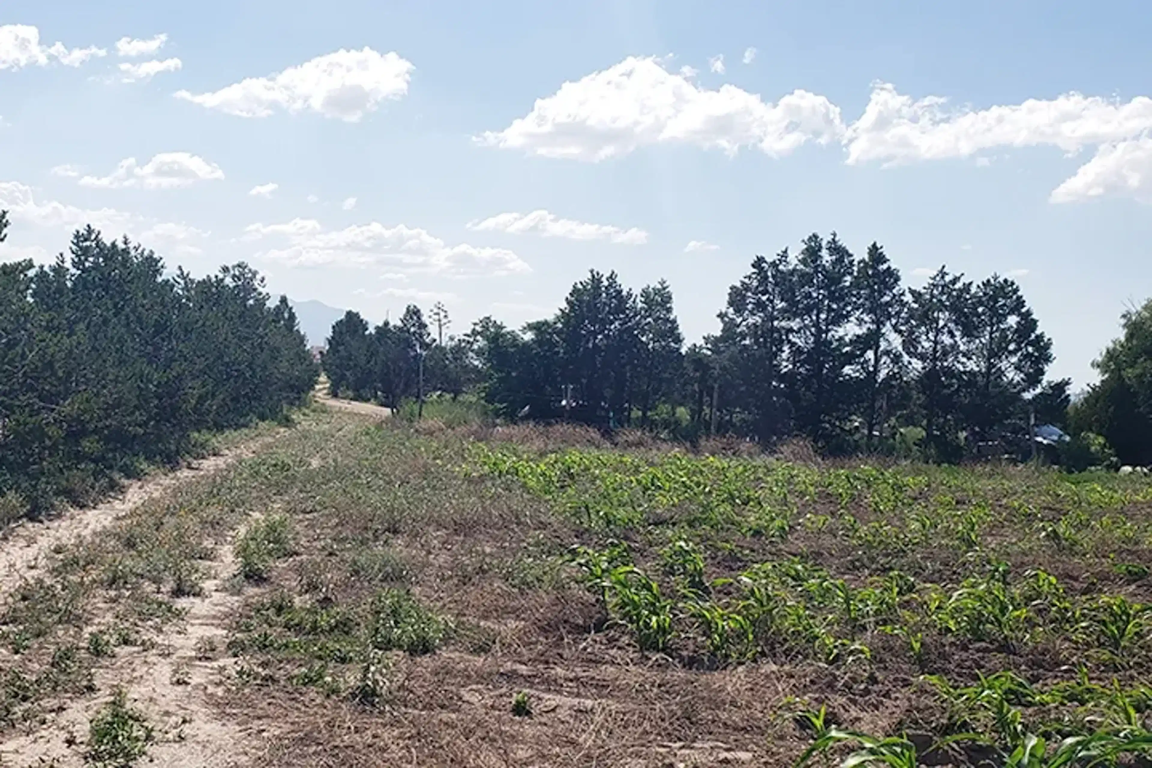 Terreno En Venta En Agua Nueva, Saltillo, Coahuila De Zaragoza