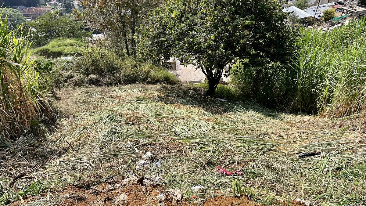 Terreno Spot2