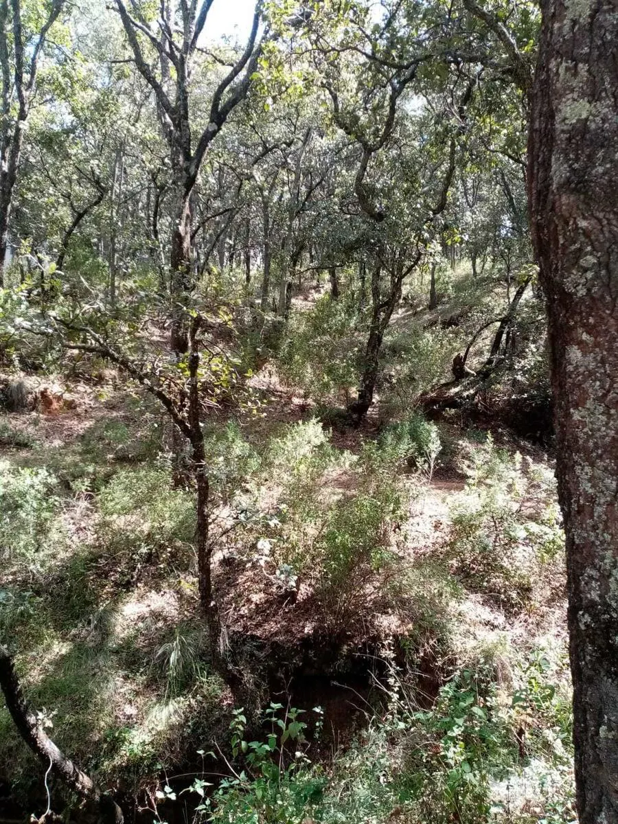 Terreno Spot2