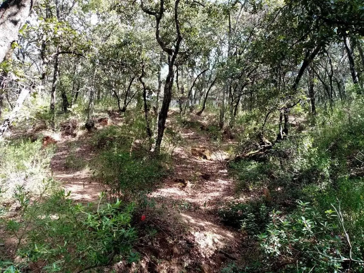 Terreno Spot2
