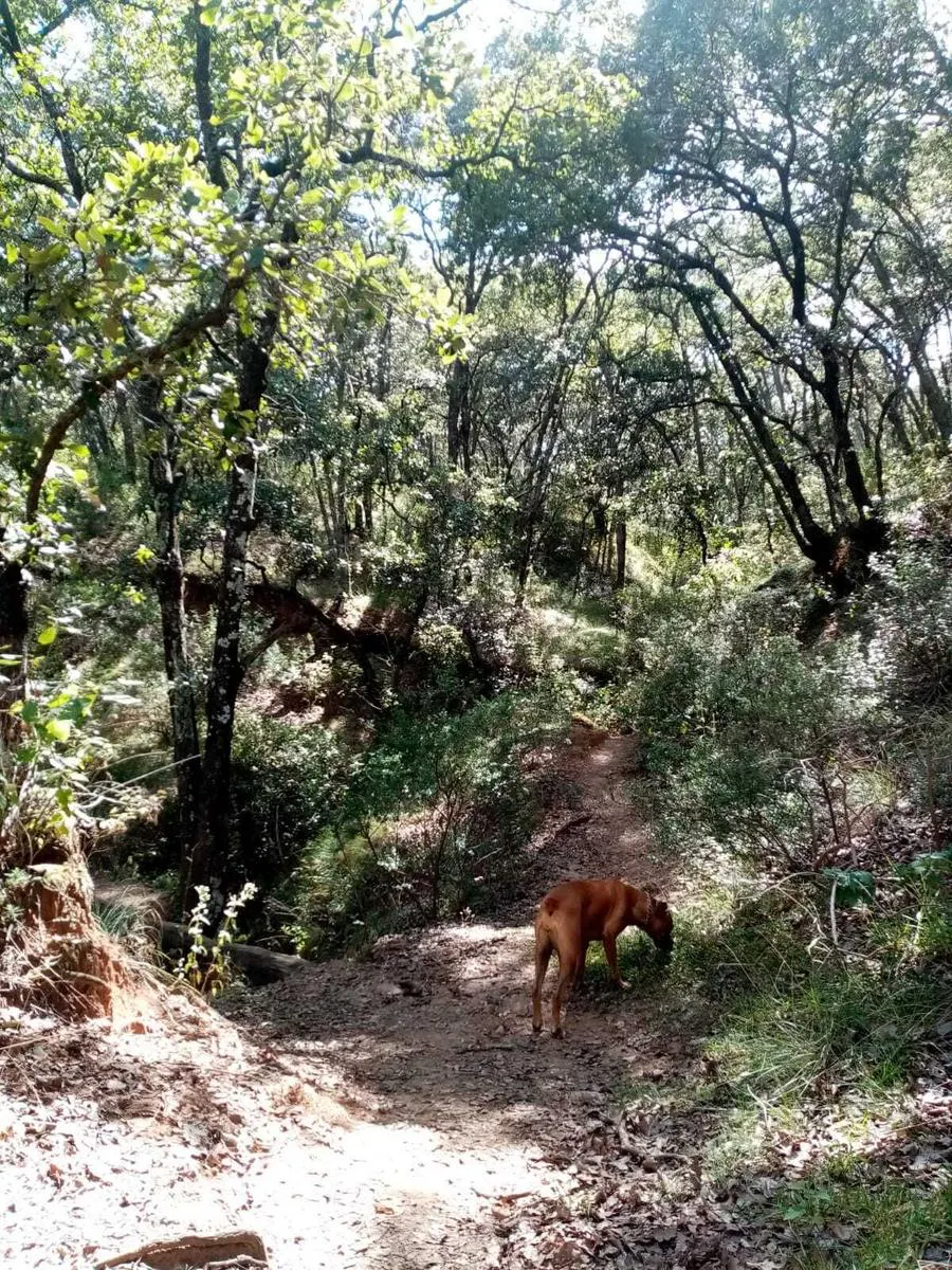 Terreno Spot2