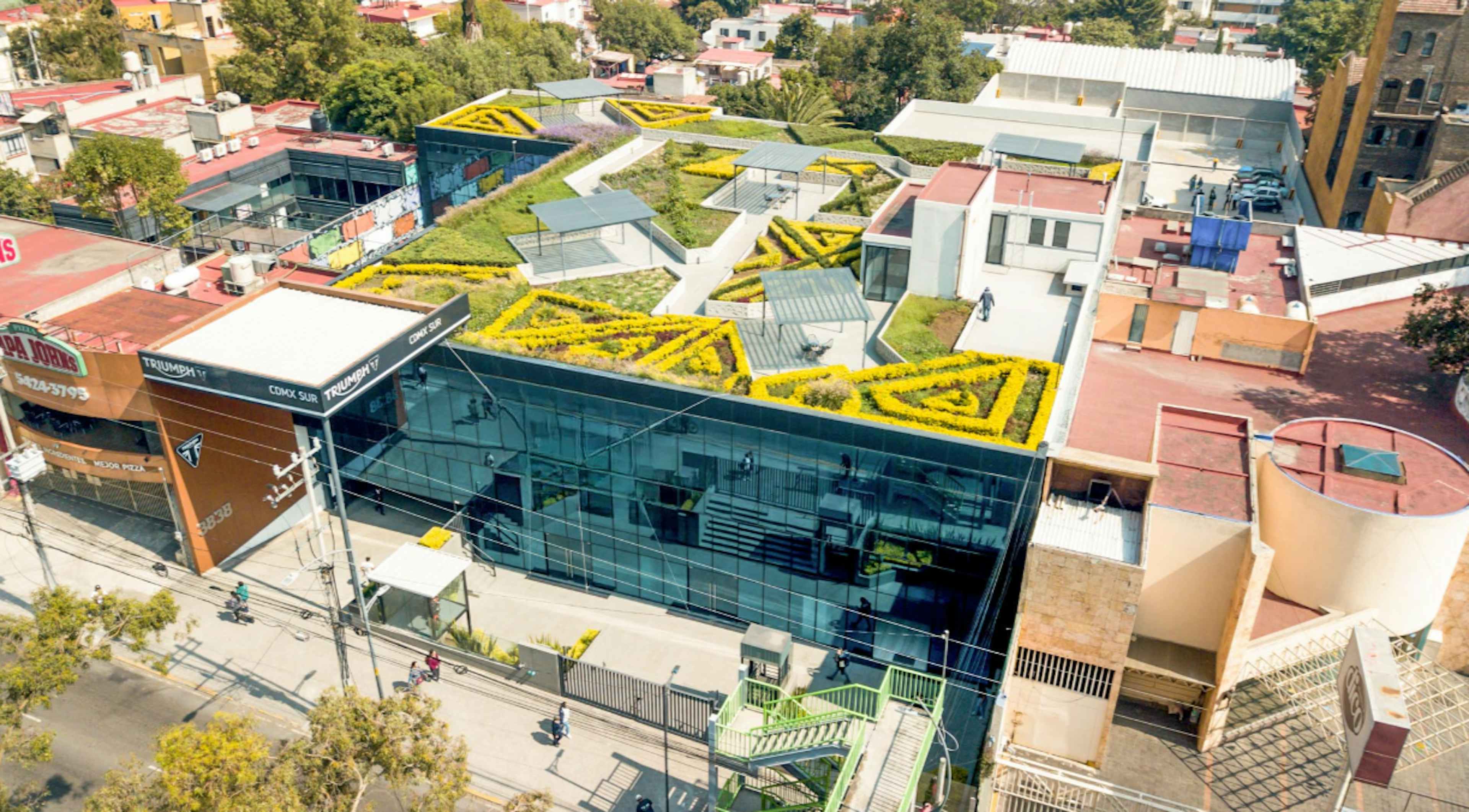 Insurgentes Sur 3838