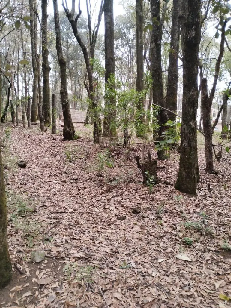 Terreno Spot2