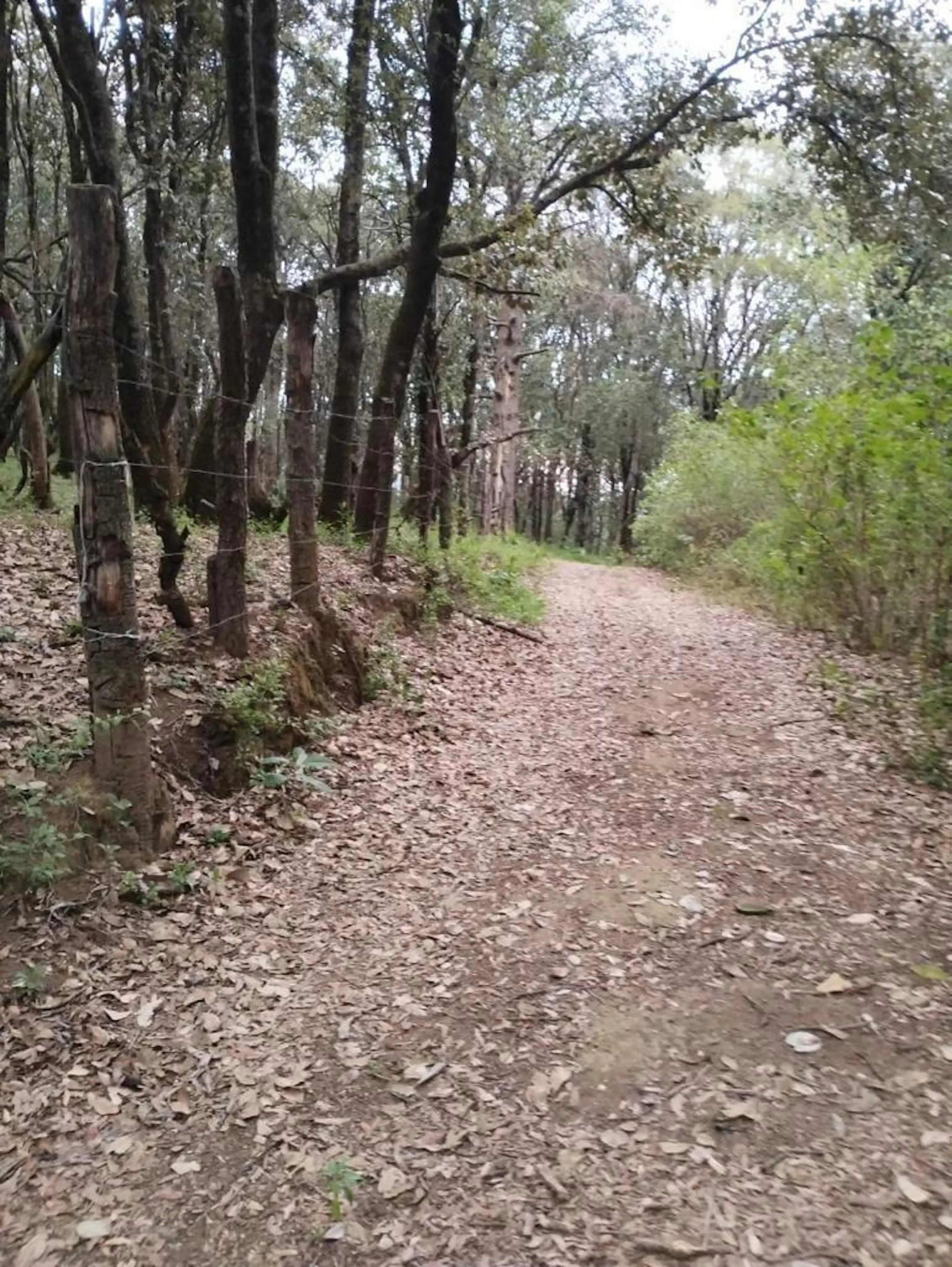 PRECIO DE OPORTUNIDAD P/CONSTRUCTORES, VENTA TERRENO JILOTZINGO
