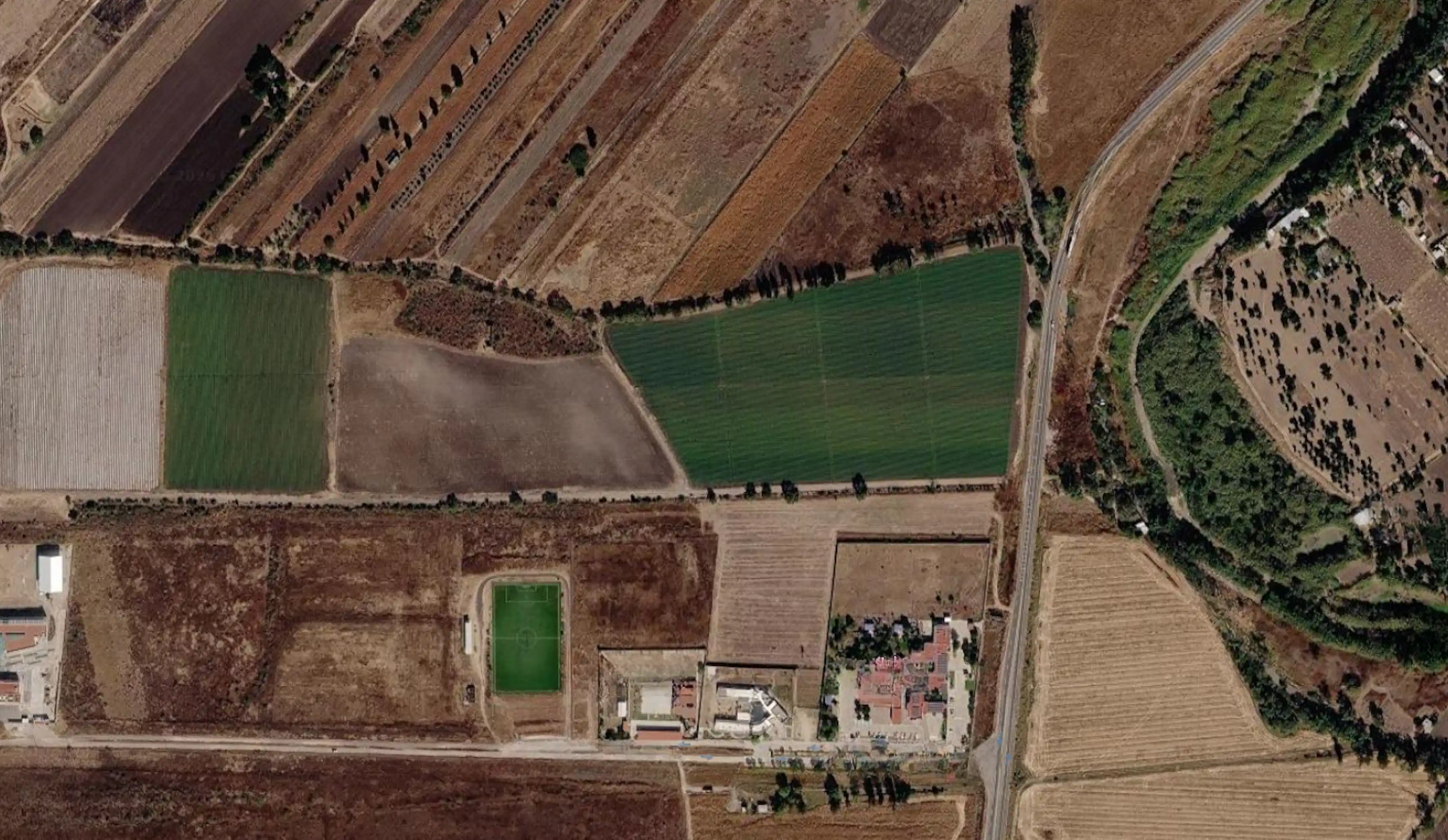 Lote 16