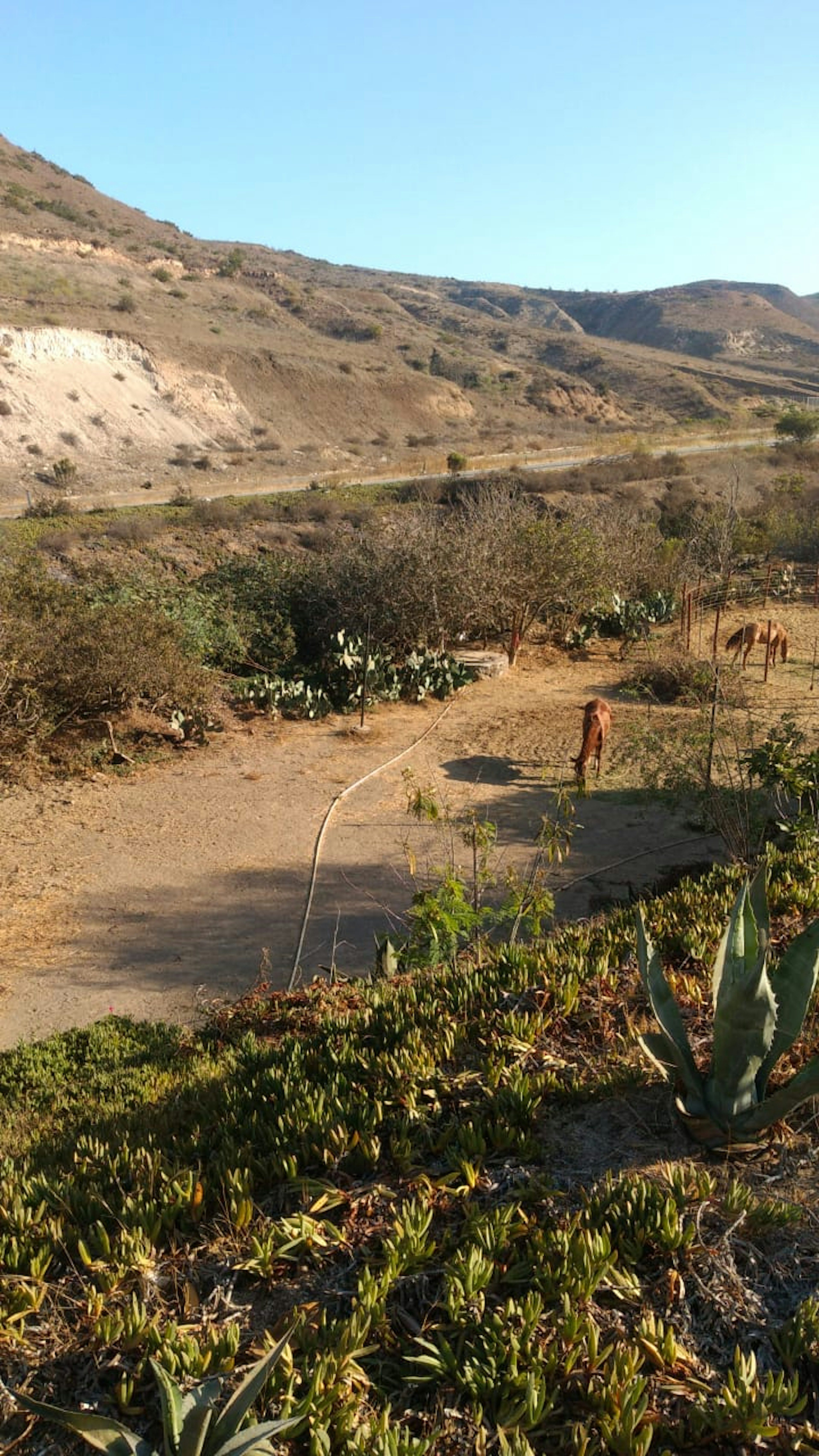 Spot image 0