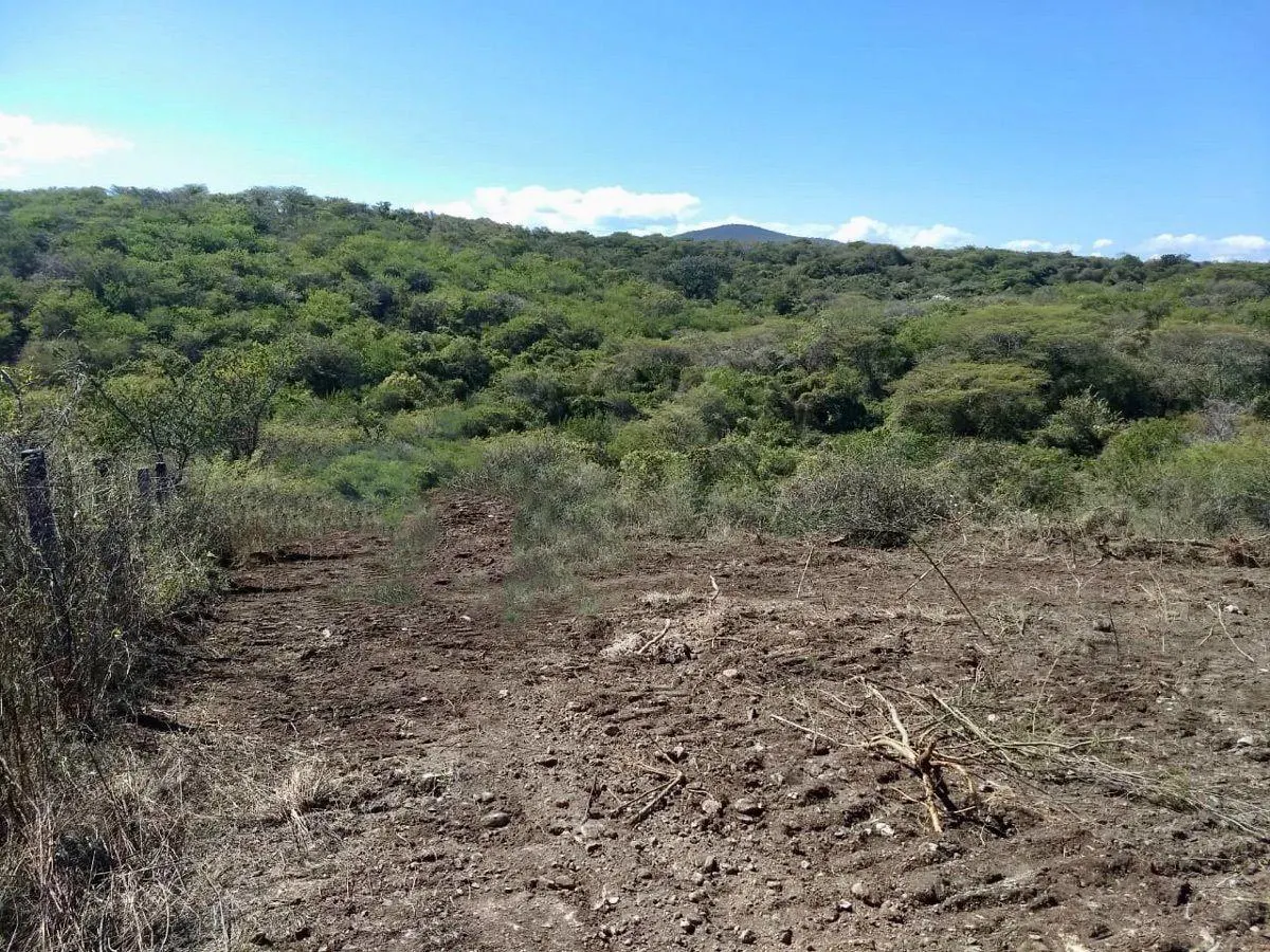Terreno Spot2