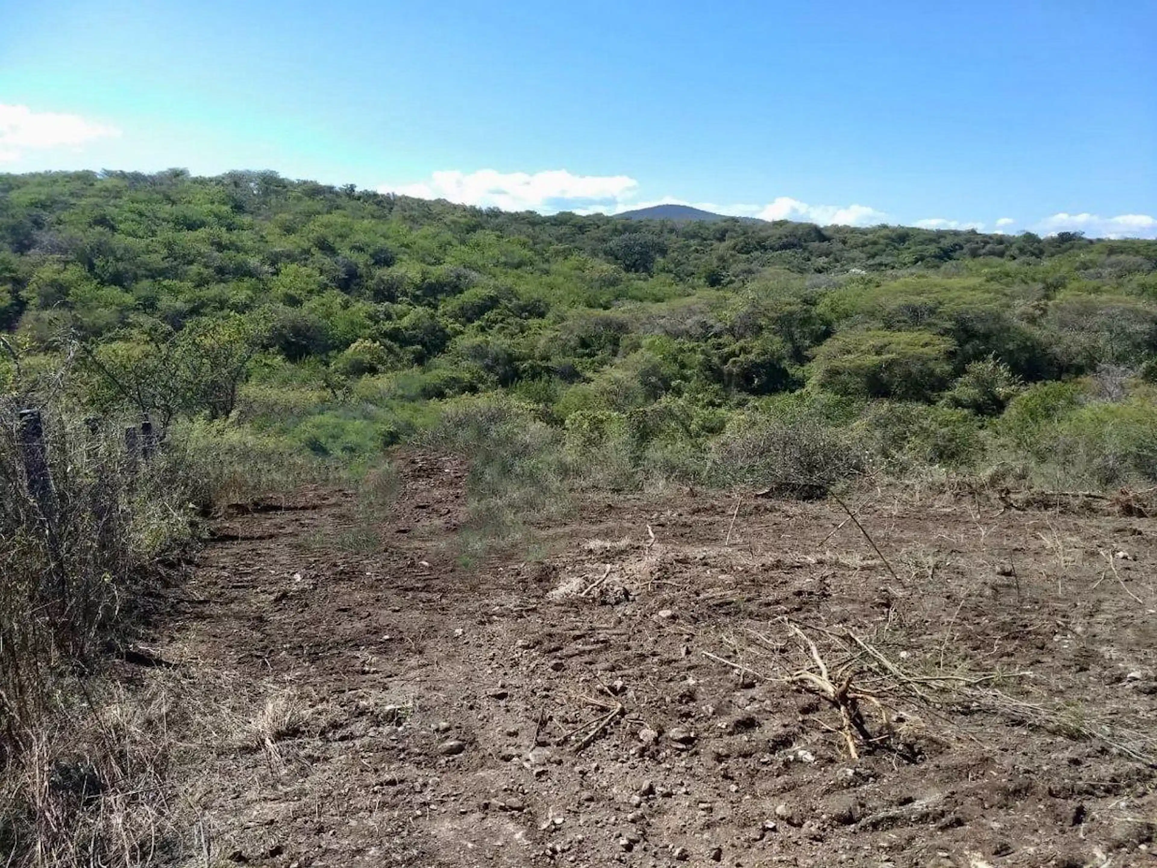 Terreno plano en venta en Puente de Ixtla