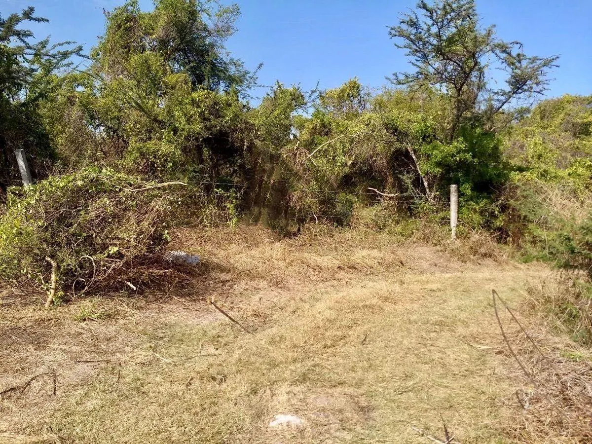 Terreno Spot2