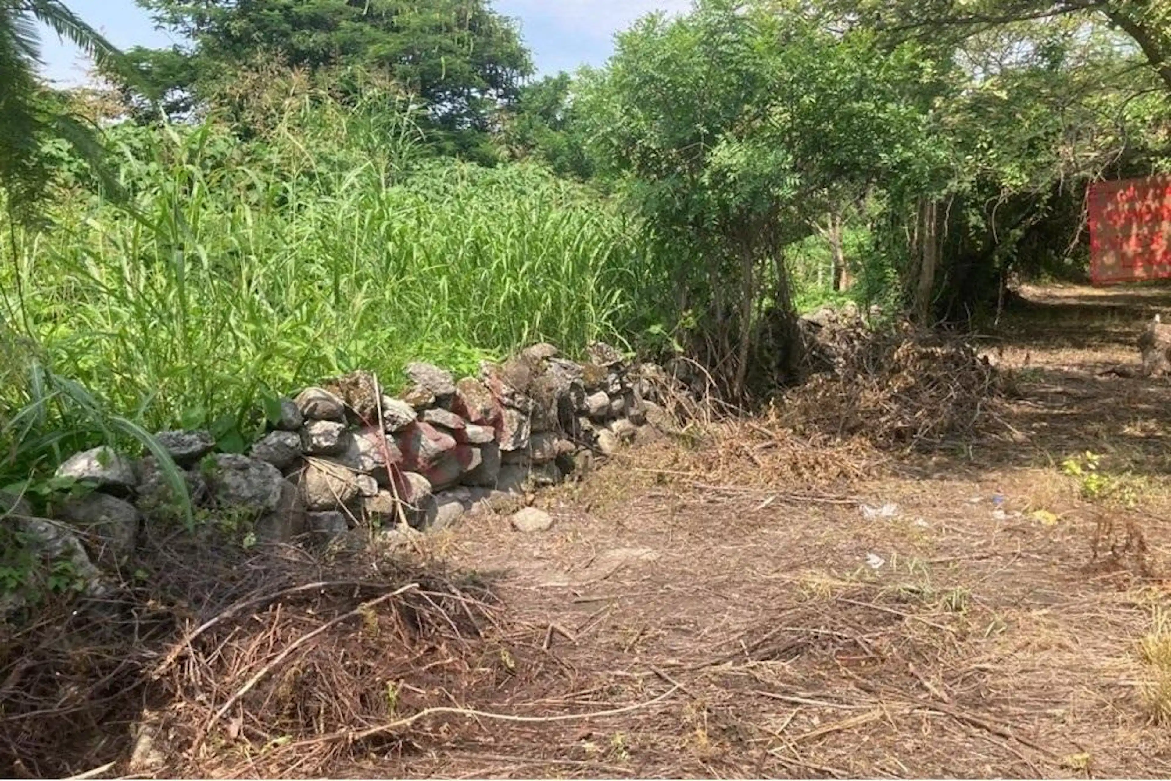 Venta De Terreno Alpuyeca, Morelos, Km 2 Carretera Cuernavaca / Grutas De Cacahuamilpa