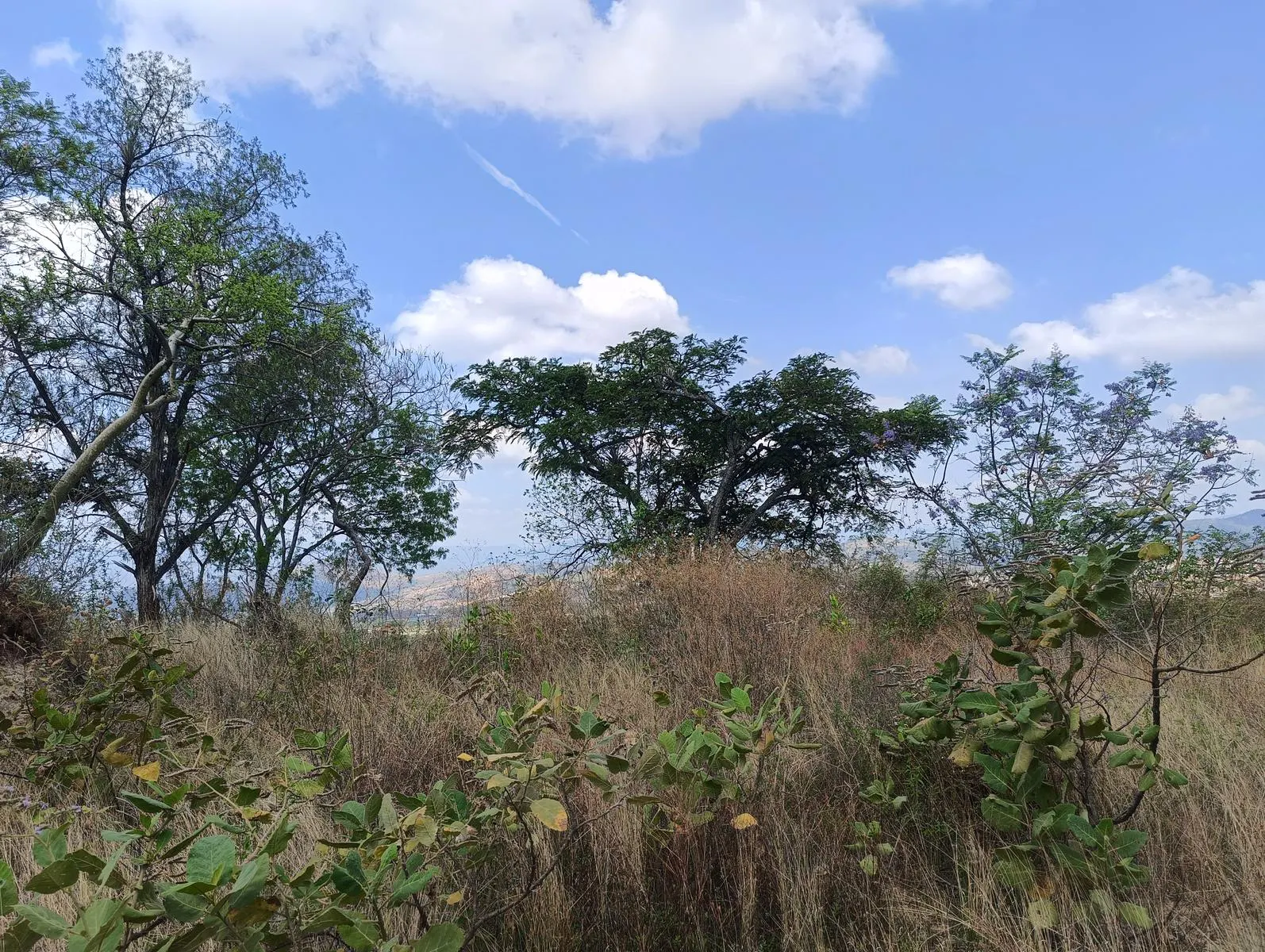 Terreno Spot2