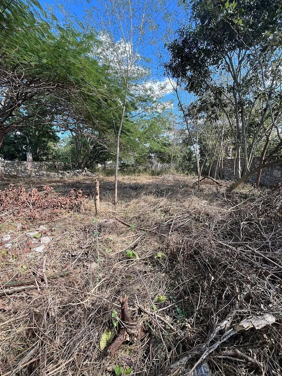 Terreno Spot2