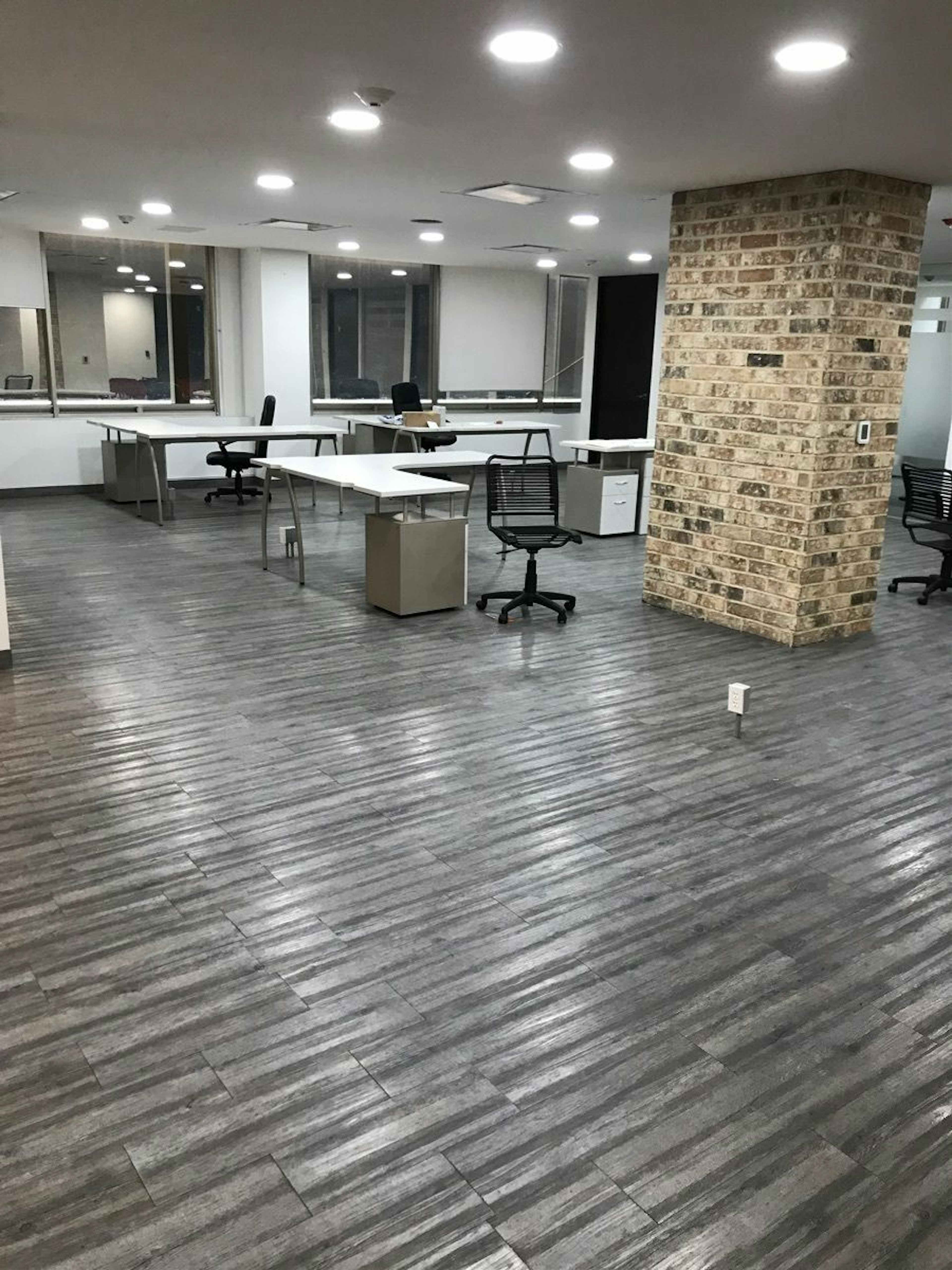 Bosque De Radiatas 44