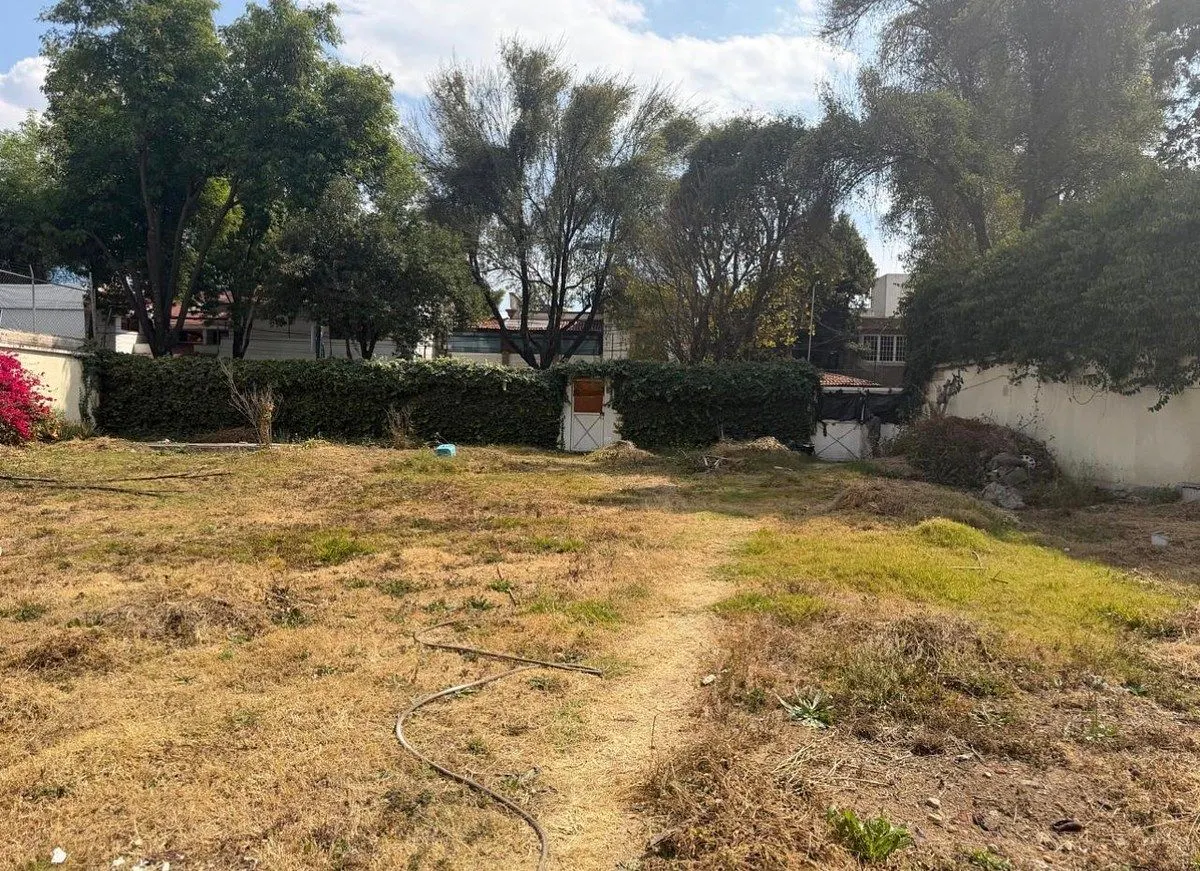 Terreno Spot2