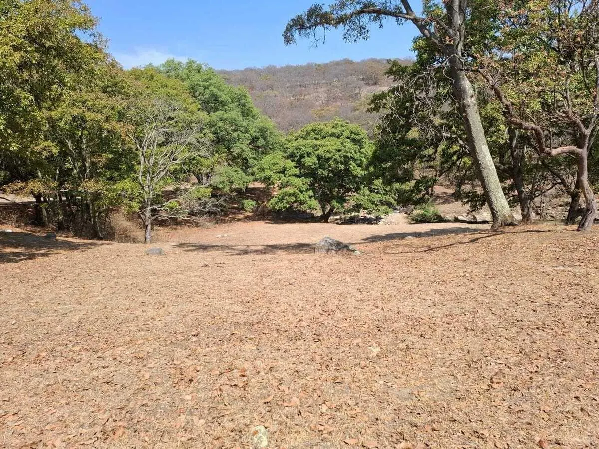 Terreno Spot2