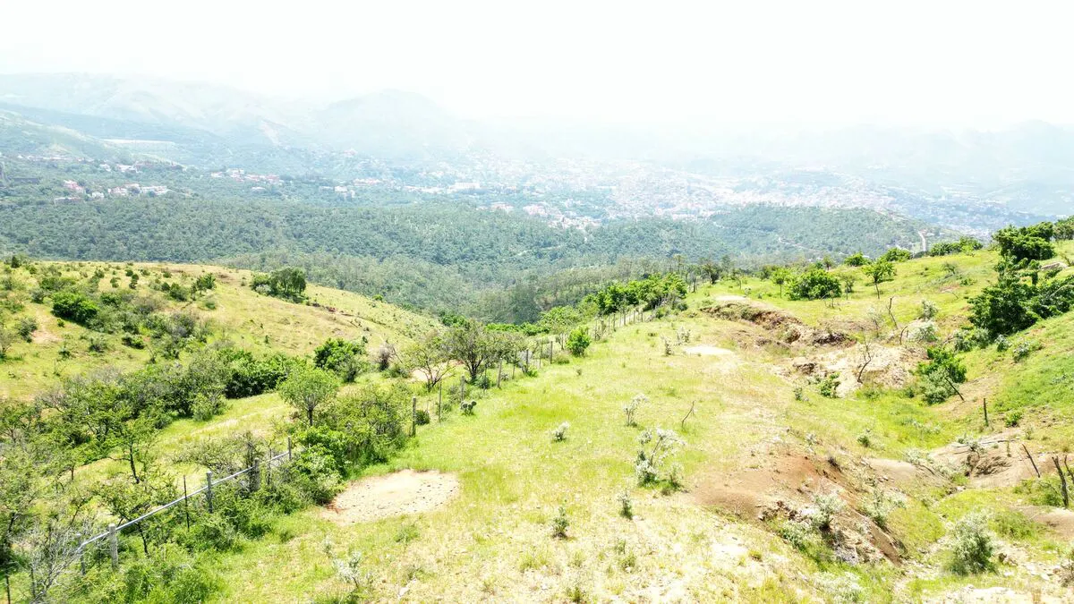 Terreno Spot2
