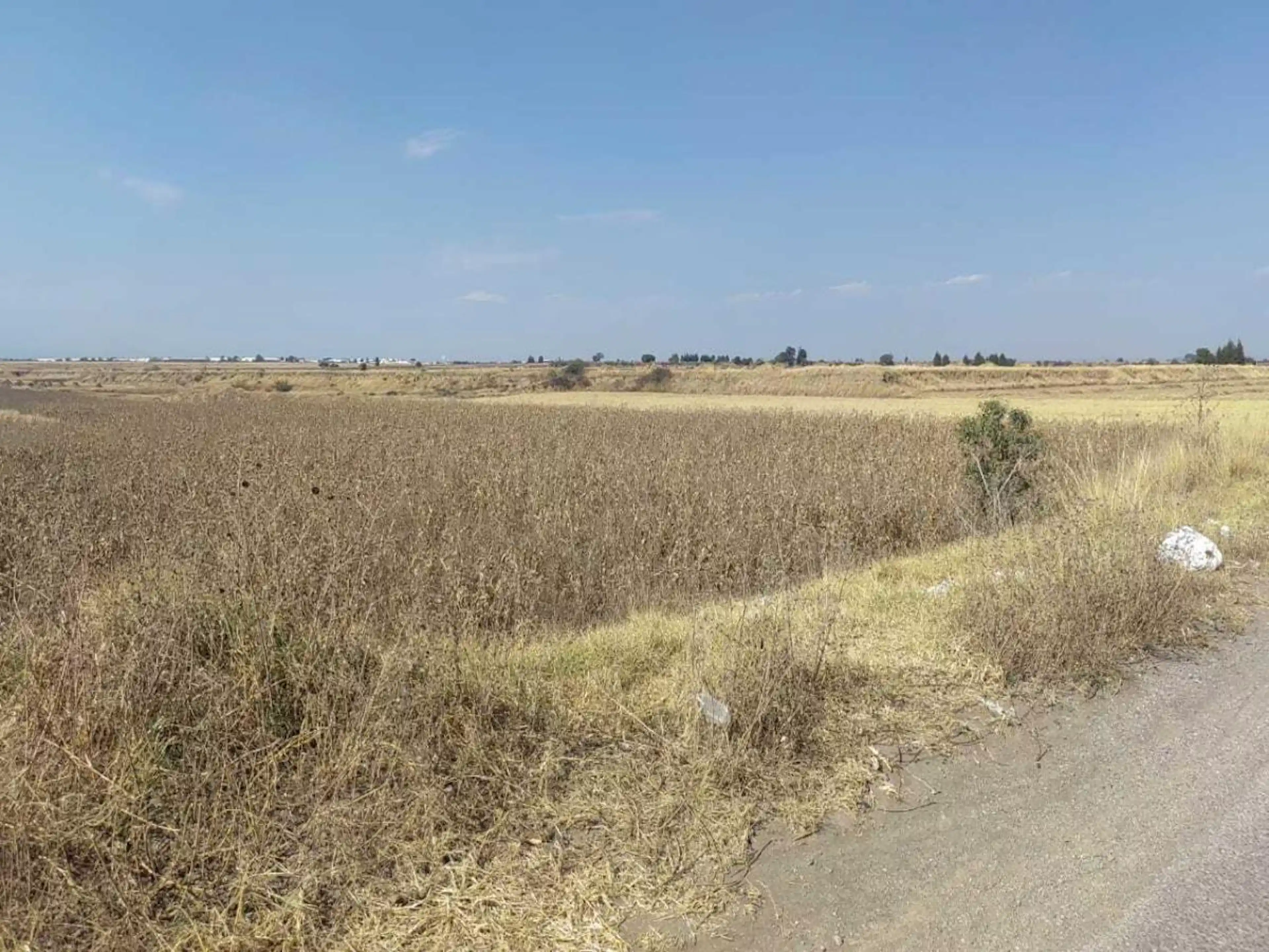 Terreno En Venta En San Miguel Xoxtla, San Miguel Xoxtla, Puebla