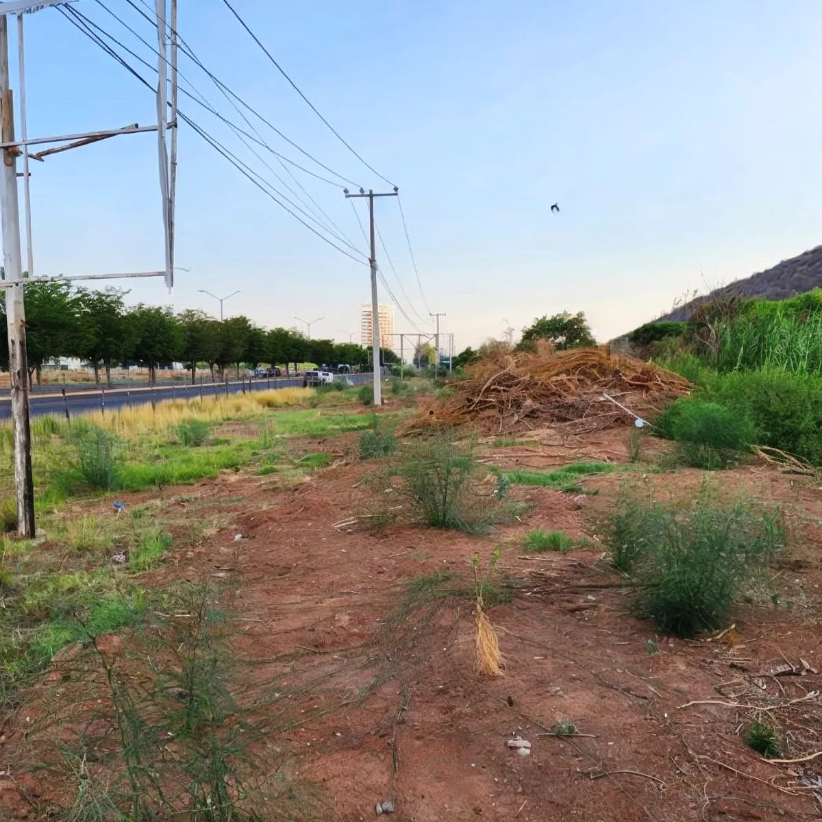 Terreno Spot2