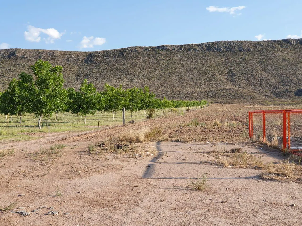 Terreno Spot2