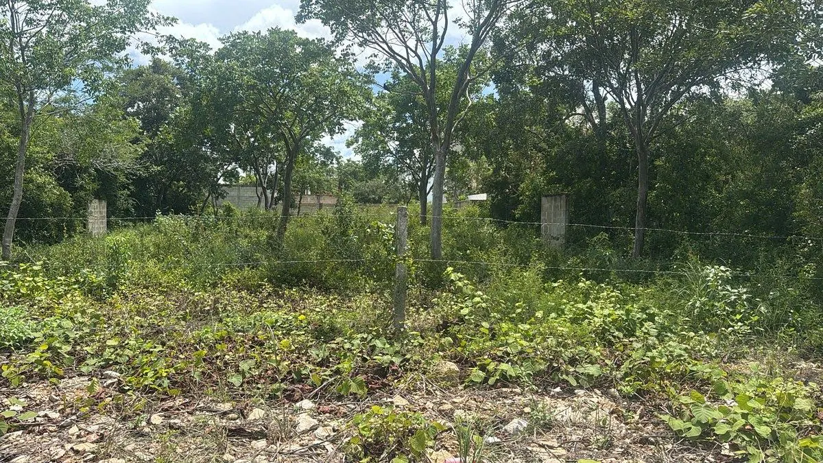Terreno Spot2