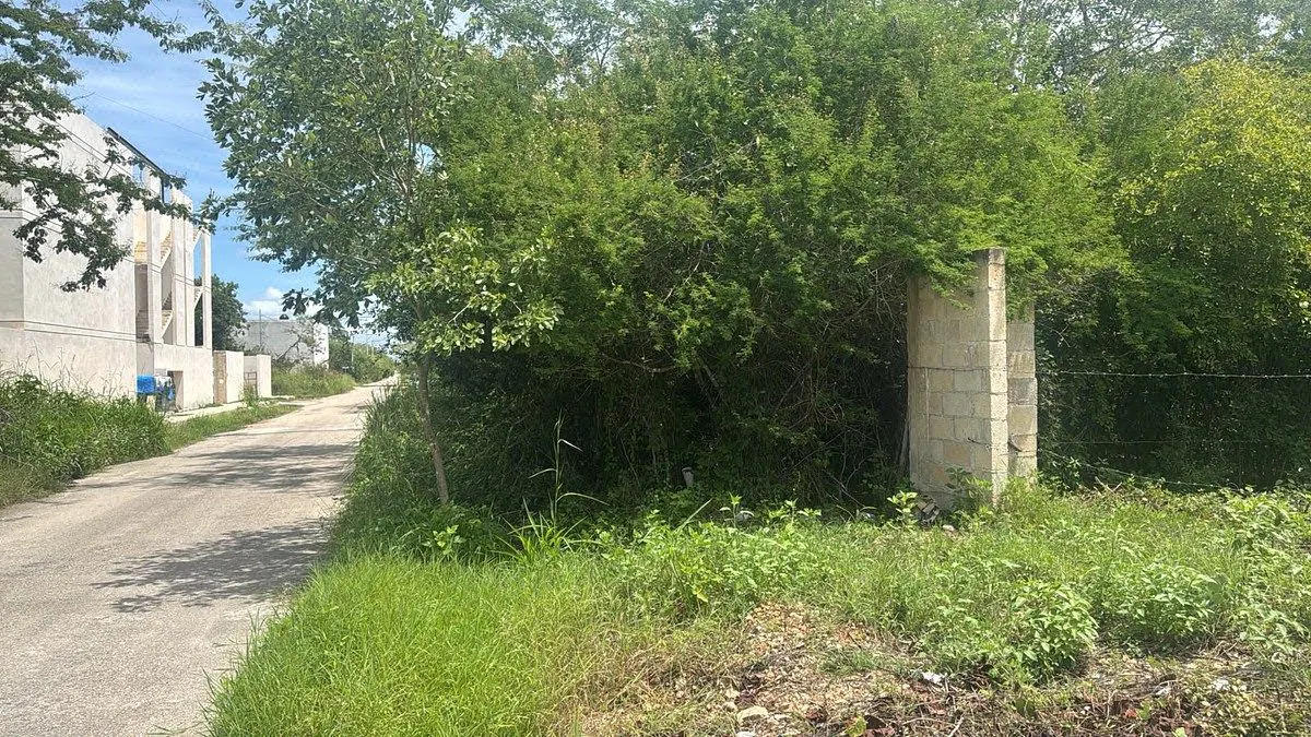 Terreno Spot2