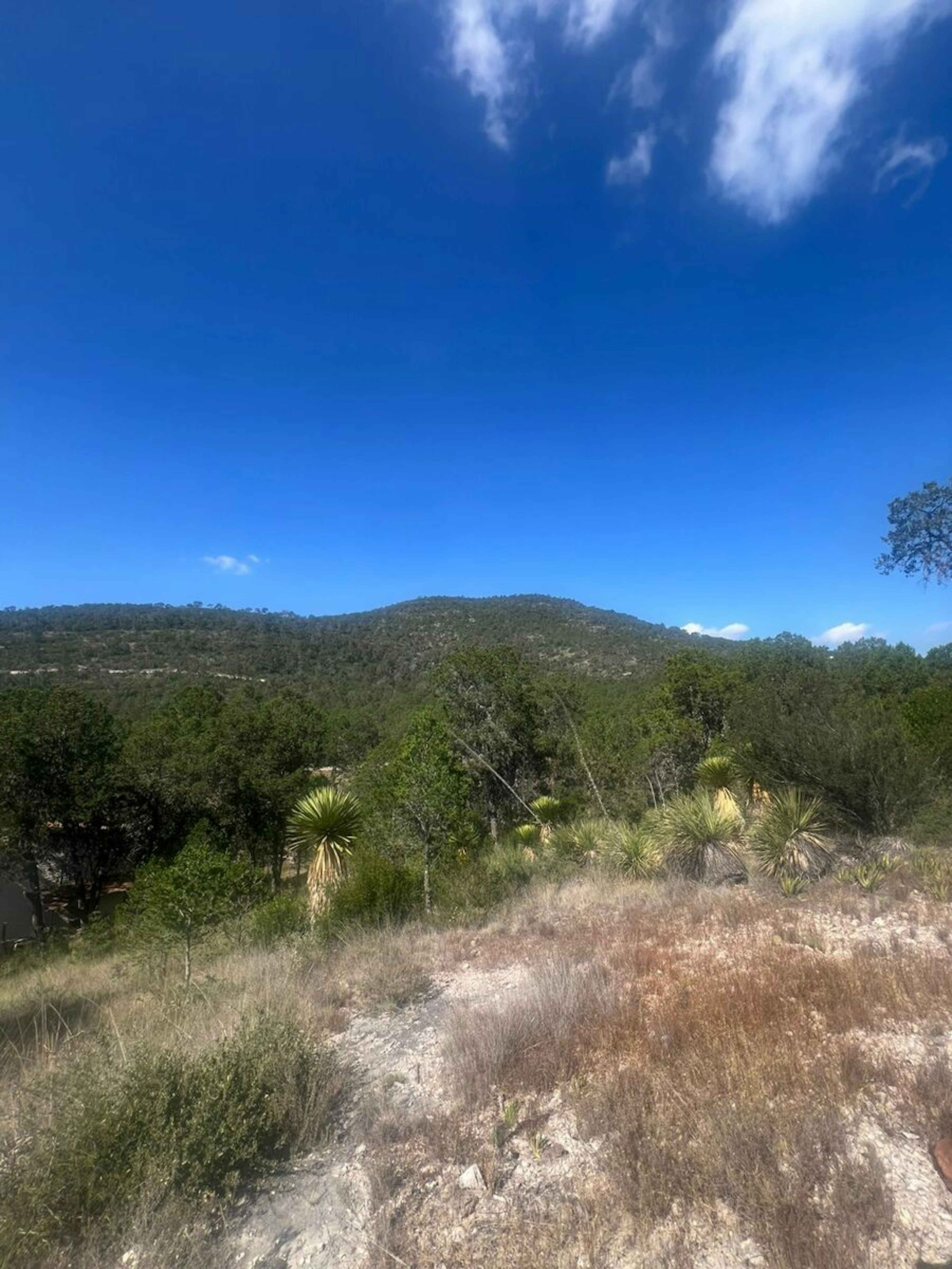 Terreno Venta $950,000 Mn Arteaga Coah.