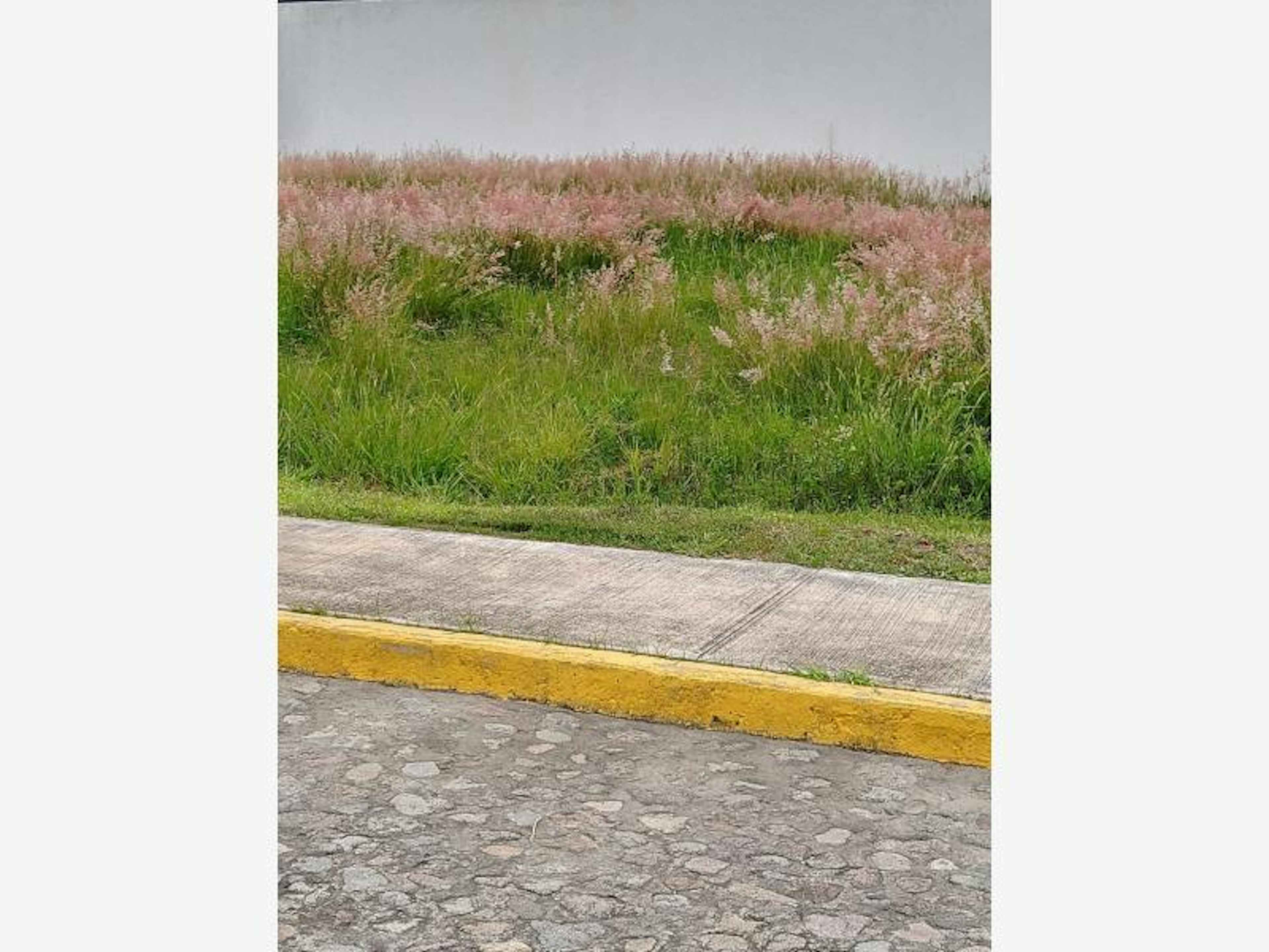 Terreno En Venta En Santa Cruz Guadalupe, Puebla, Puebla