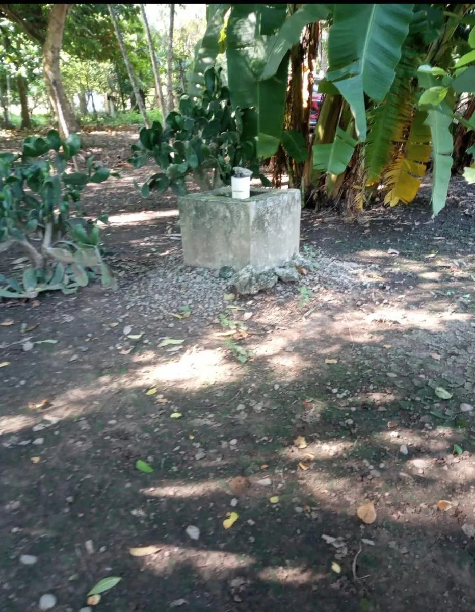 Terreno Spot2