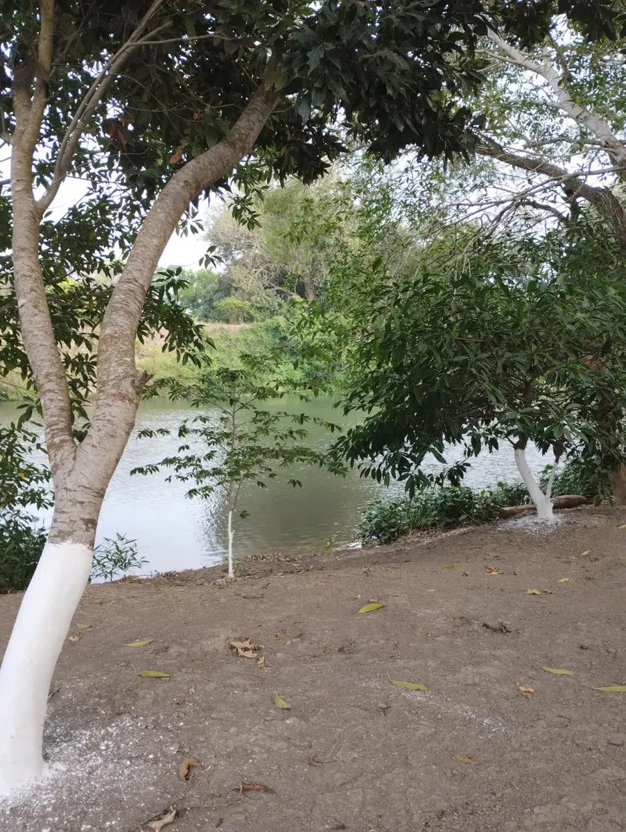 Terreno Spot2