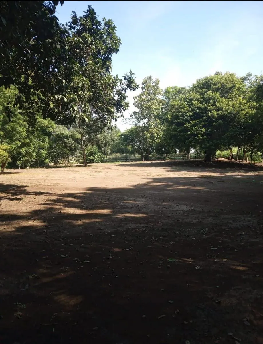 Terreno Spot2