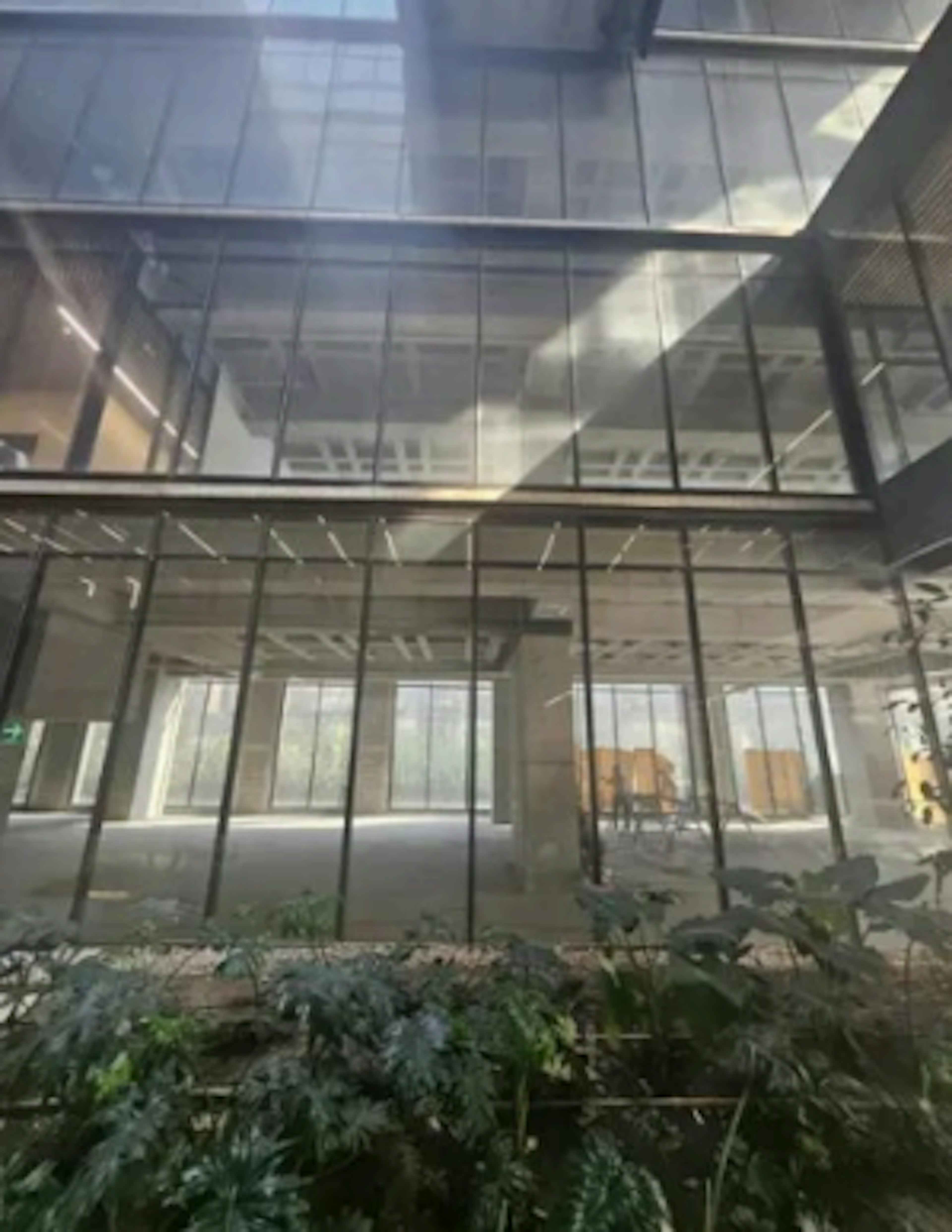 Calzada General Mariano Escobedo