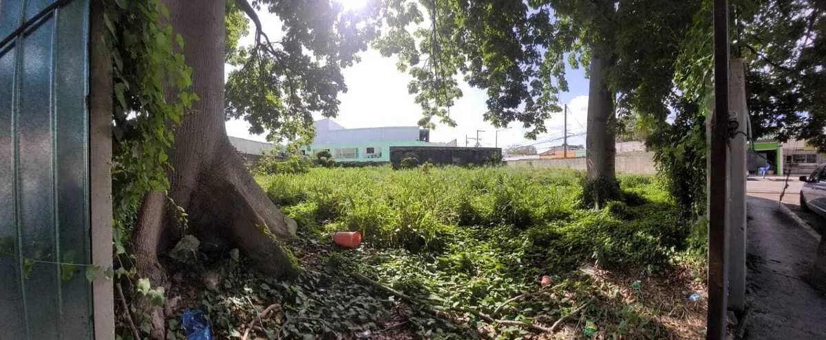 Terreno Spot2