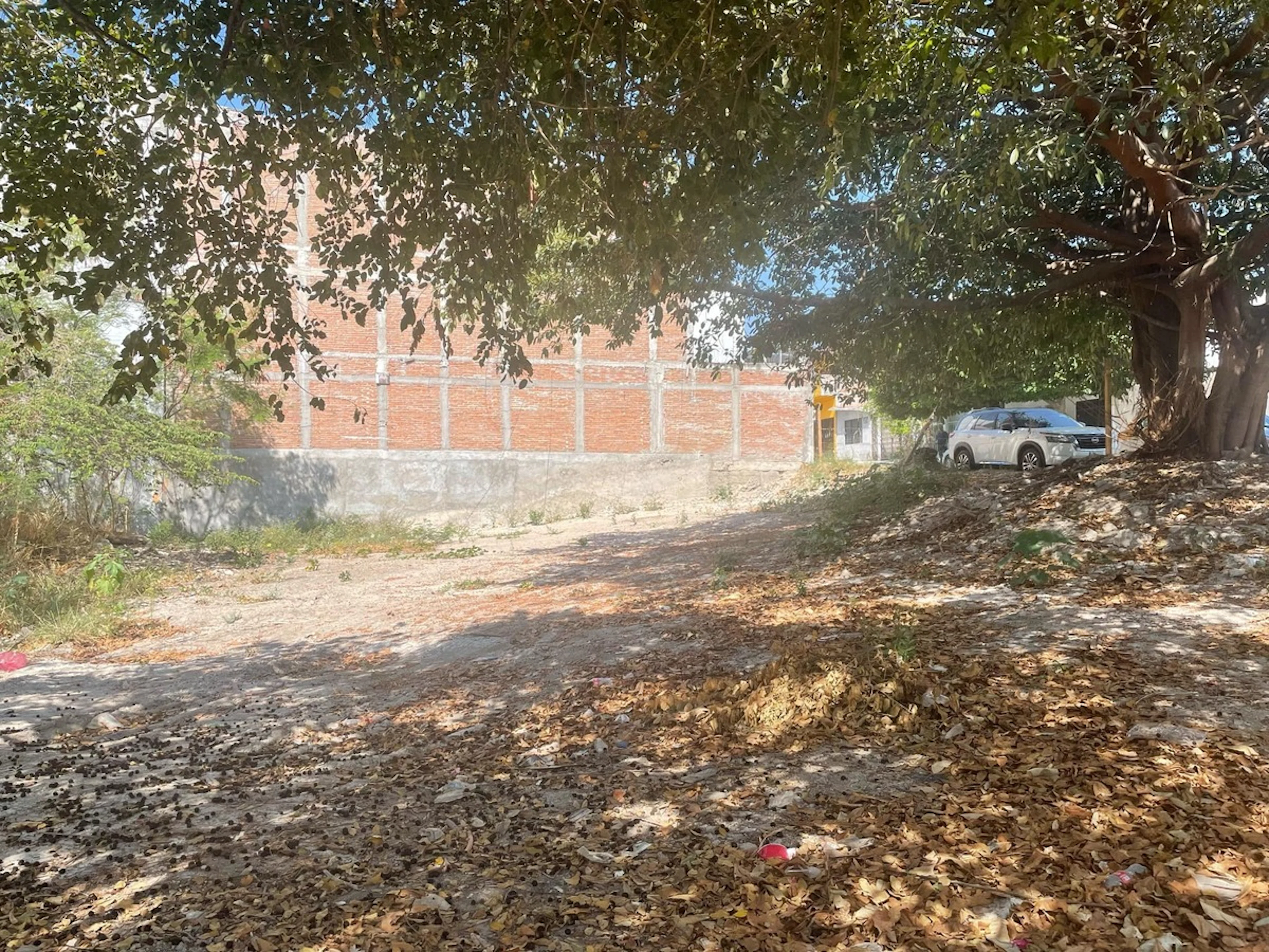 Terreno Spot2
