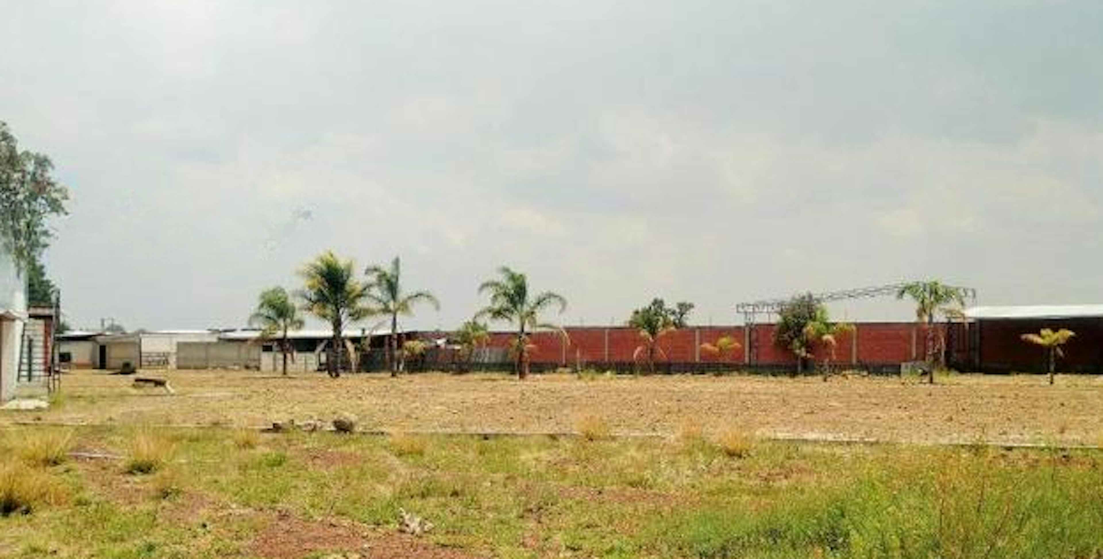 San Martín Texmelucan