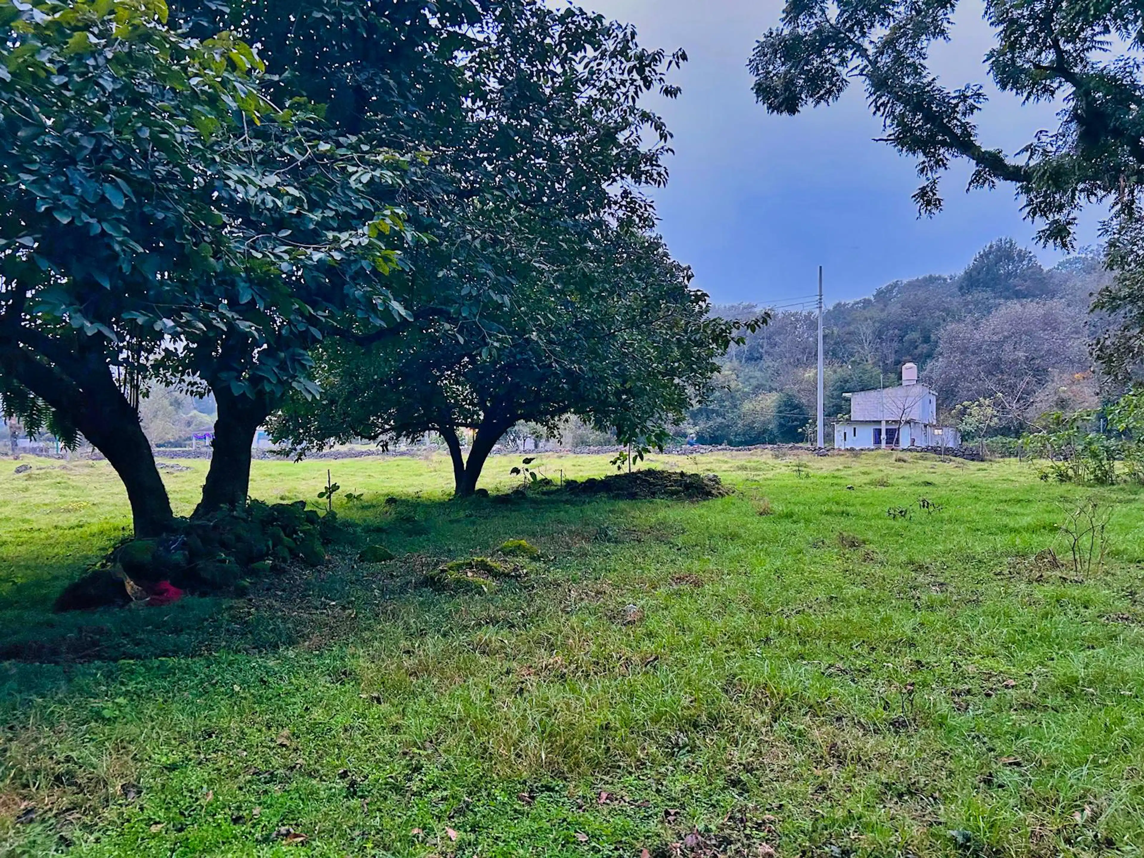 Terreno En Venta En Jilotepec Veracruz Piedra De Agua Tlacolulan