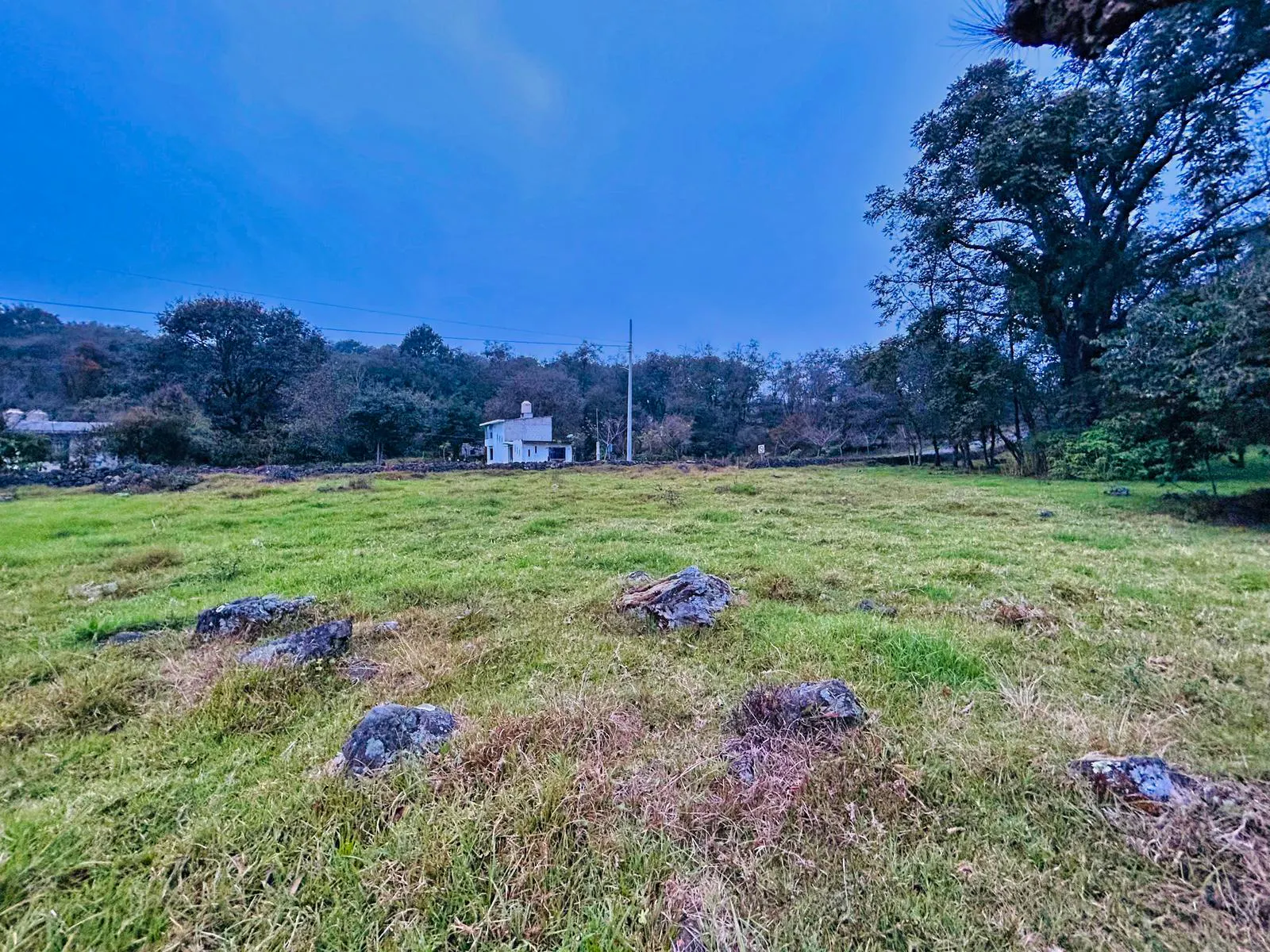 Terreno Spot2