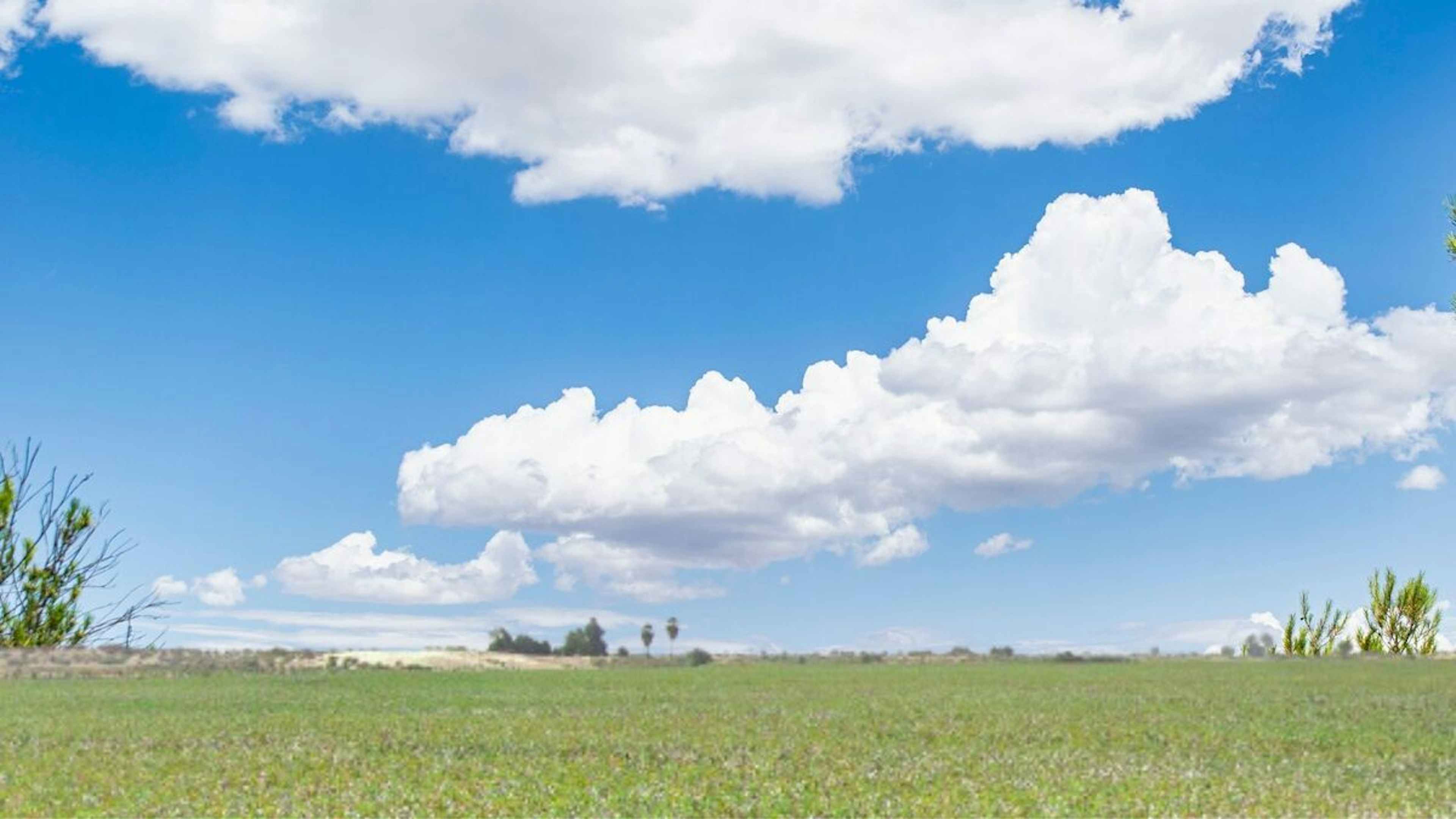 Carretera Vicente Guerrero Mexicali S/n