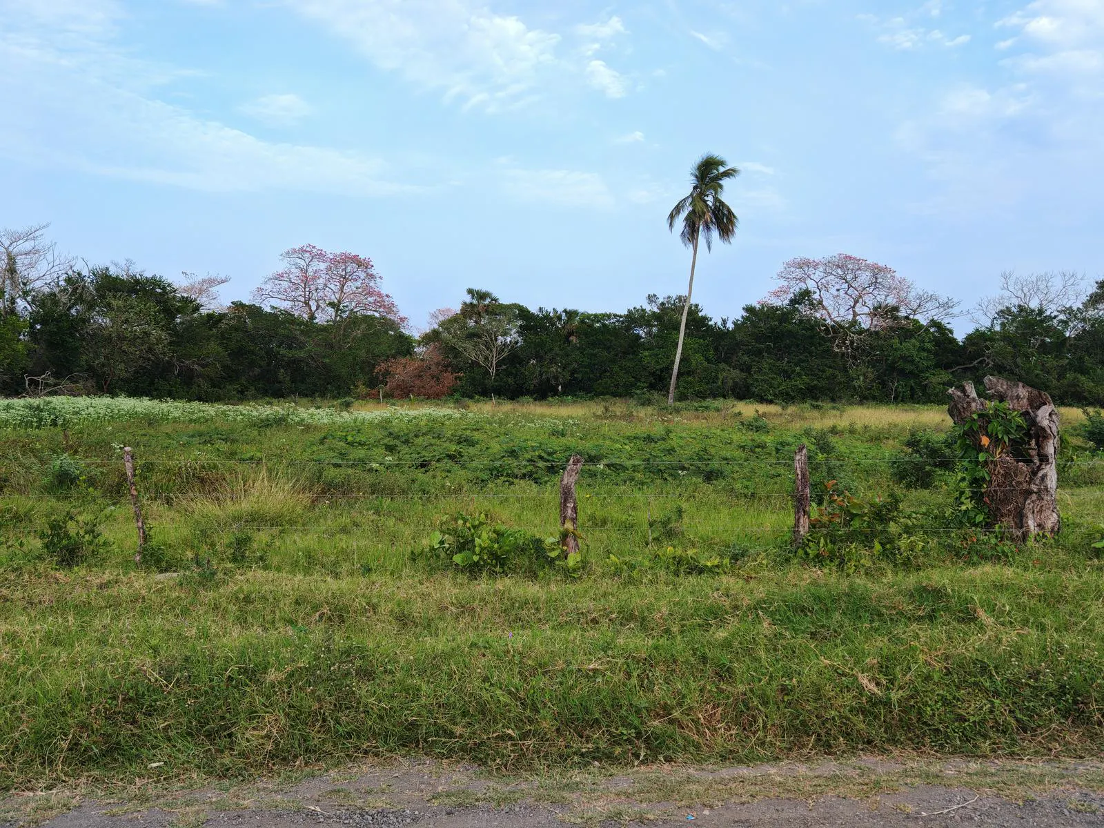 Terreno Spot2
